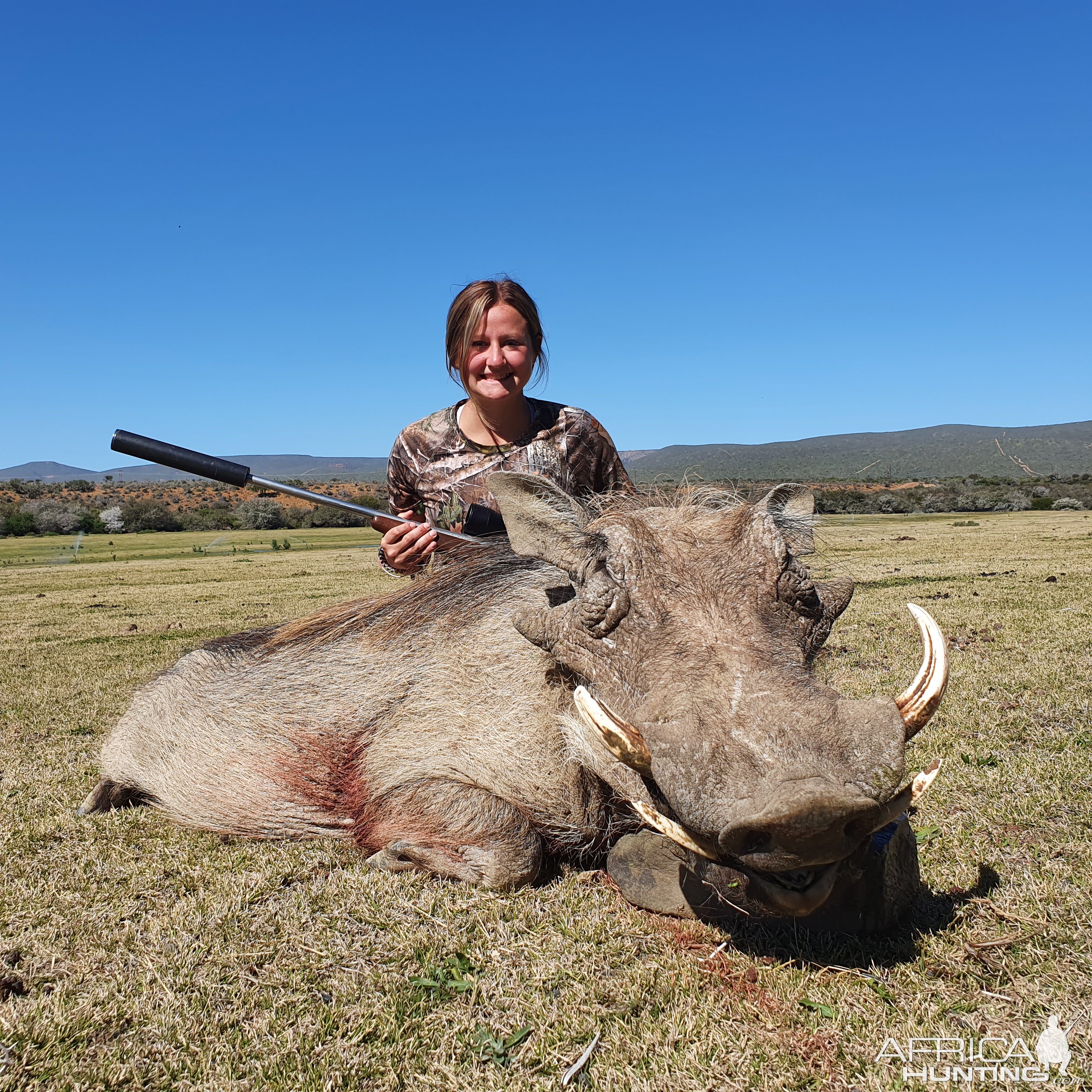 Warthog Hunting South Africa