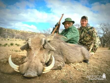 Warthog Hunting South Africa