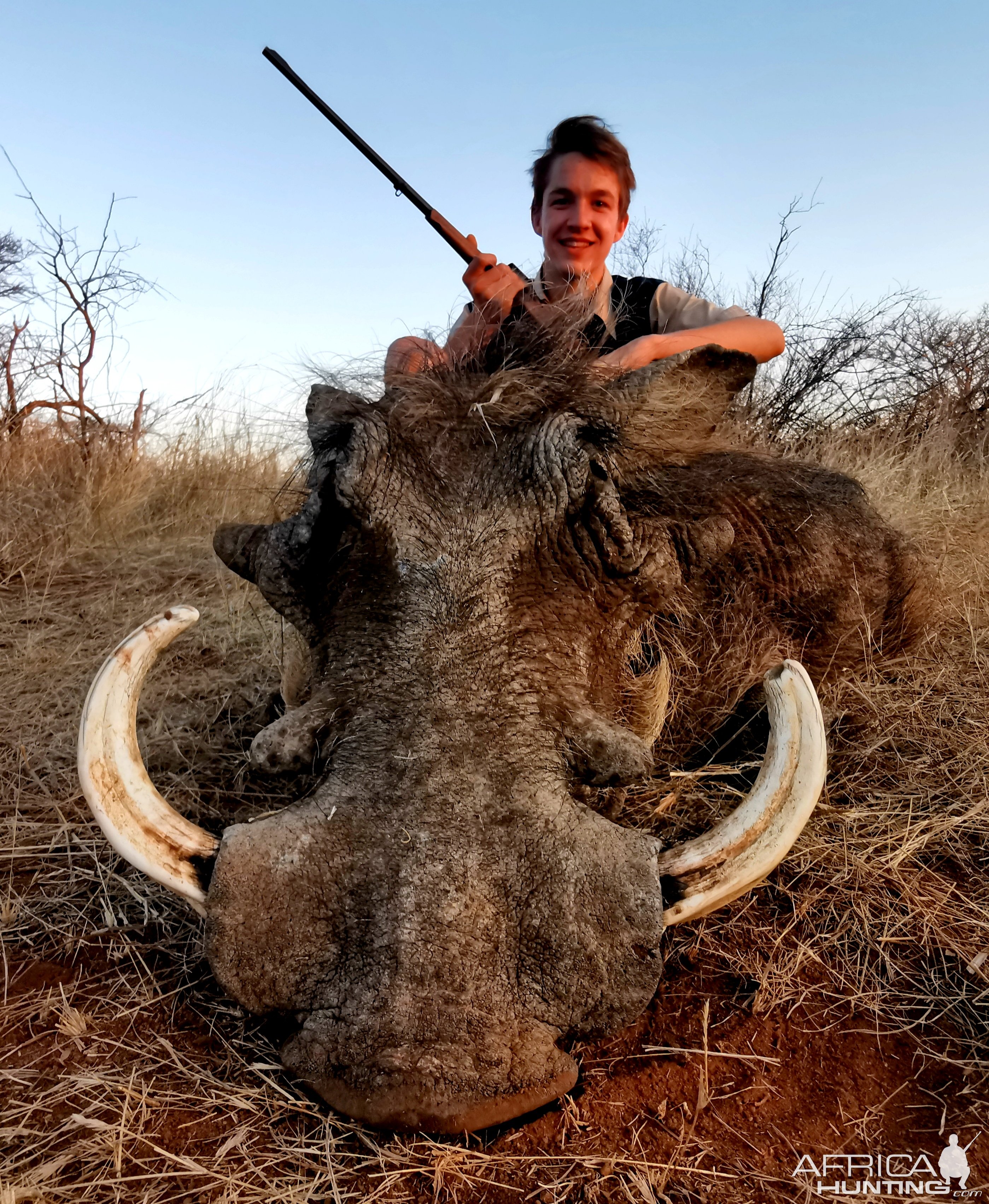 Warthog Hunting South Africa