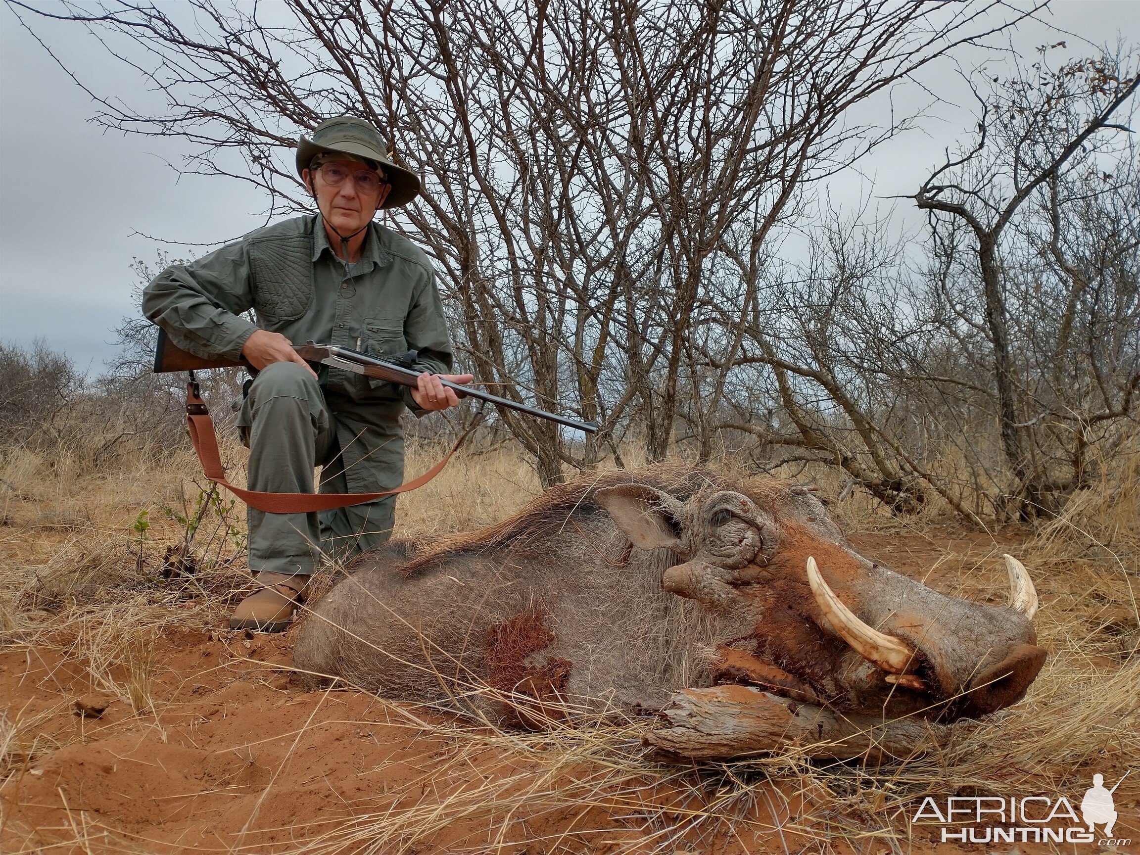 Warthog Hunting South Africa