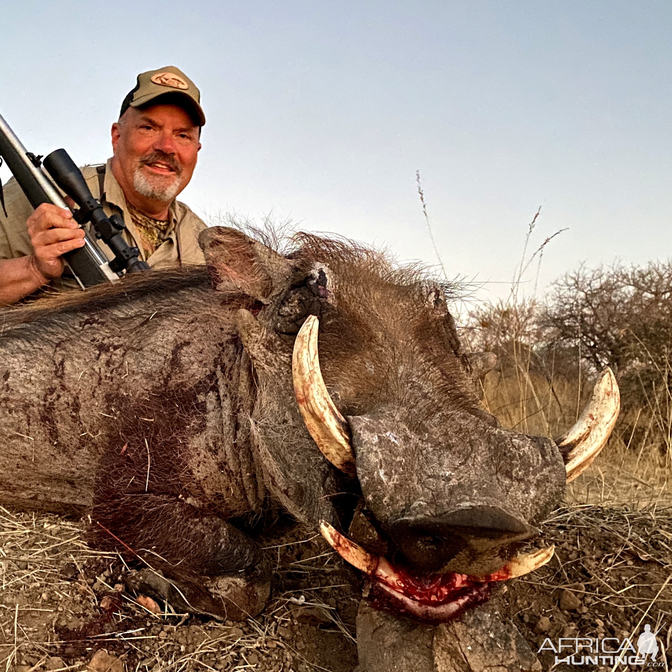 Warthog Hunting South Africa