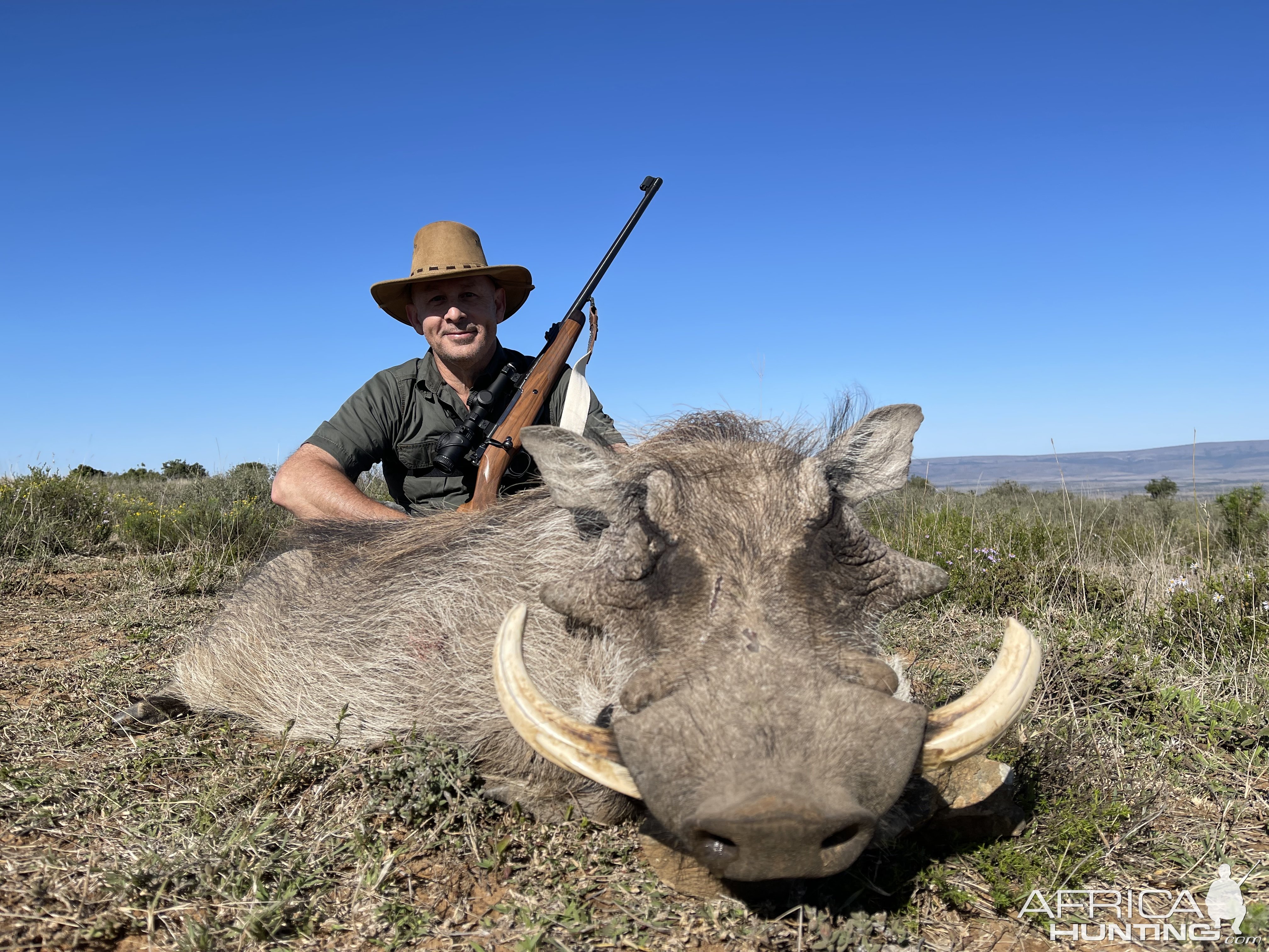 Warthog Hunting South Africa