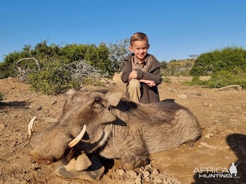 Warthog Hunting South Africa