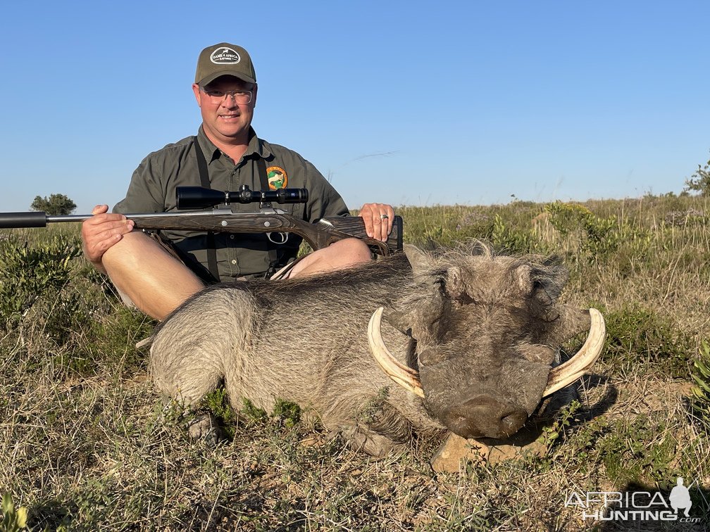 Warthog Hunting South Africa