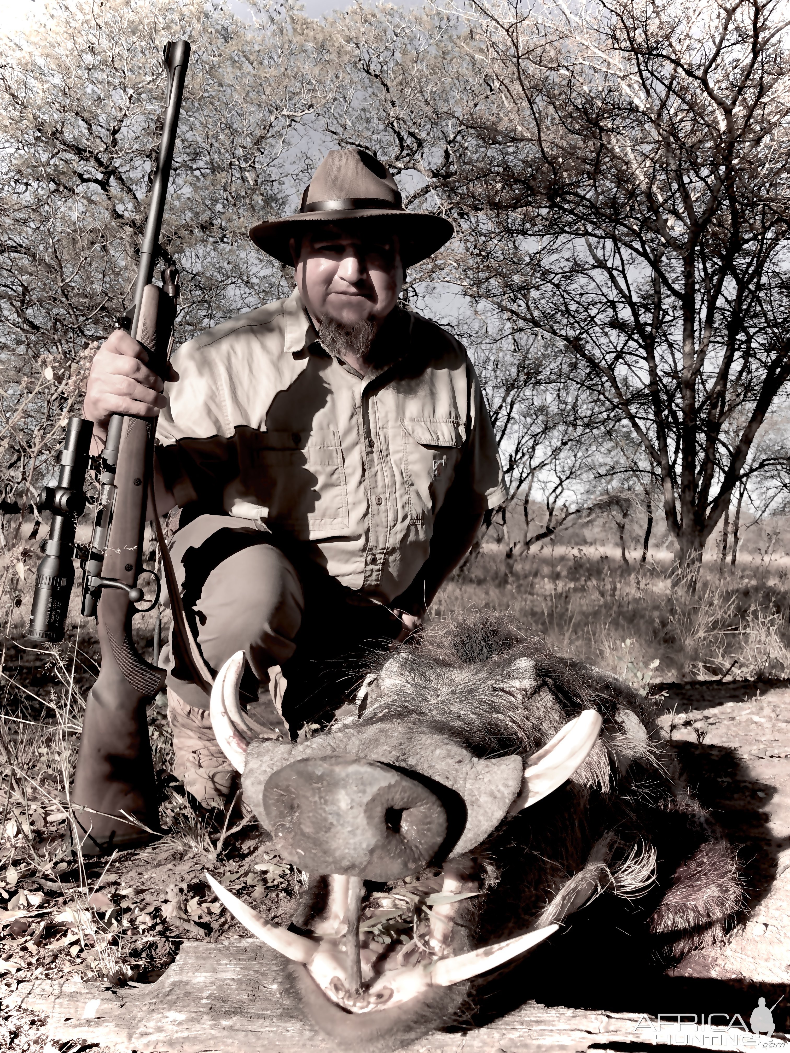 Warthog Hunting South Africa