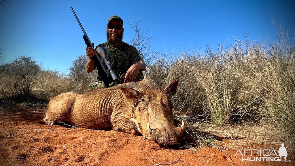 Warthog Hunting South Africa