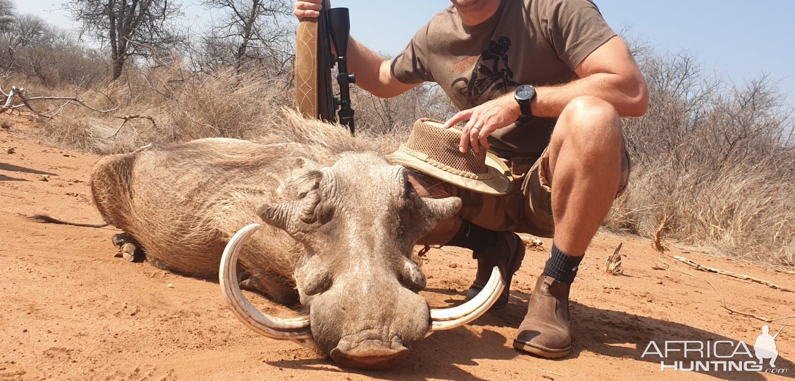 Warthog Hunting South Africa