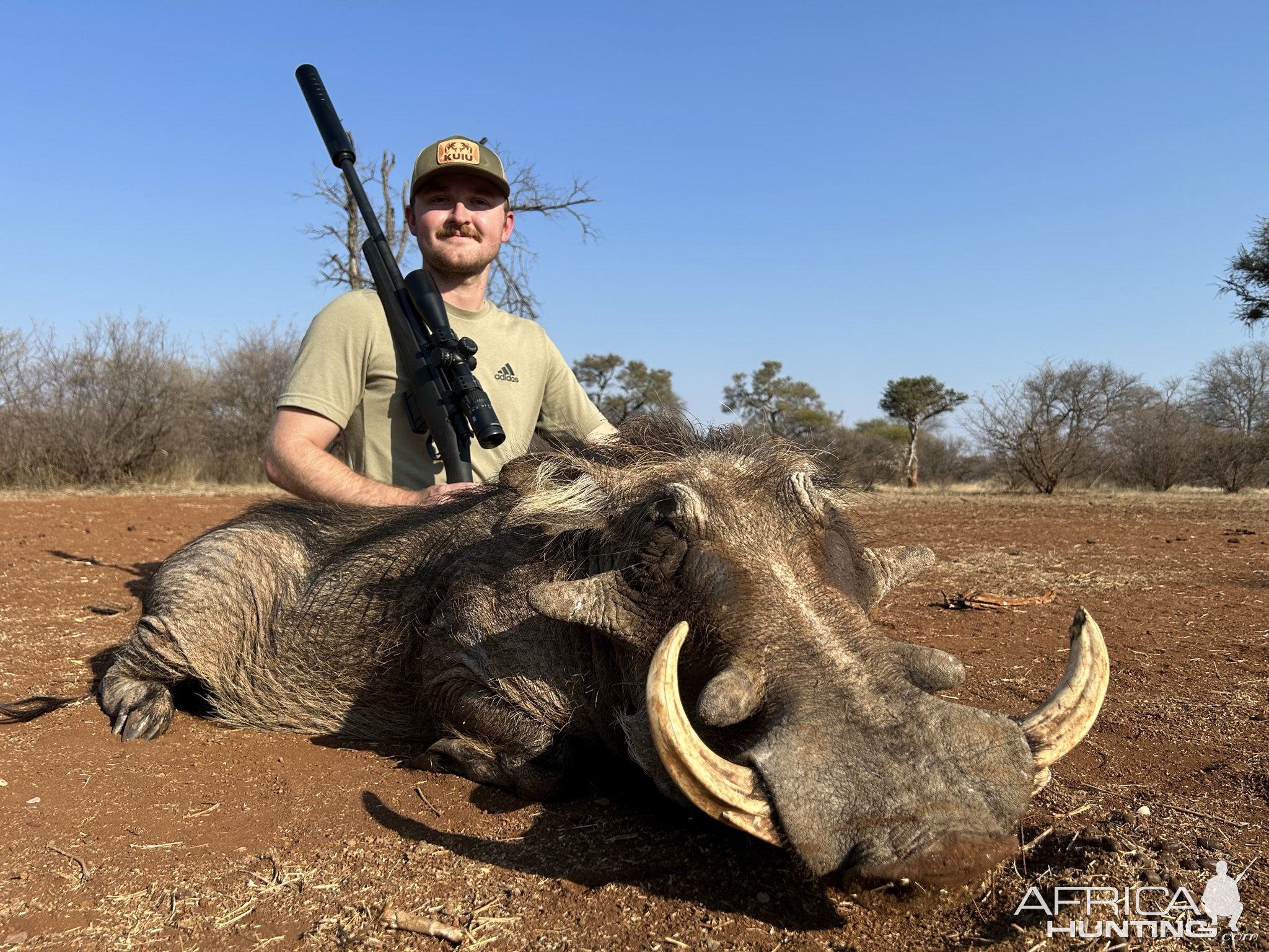 Warthog Hunting South Africa