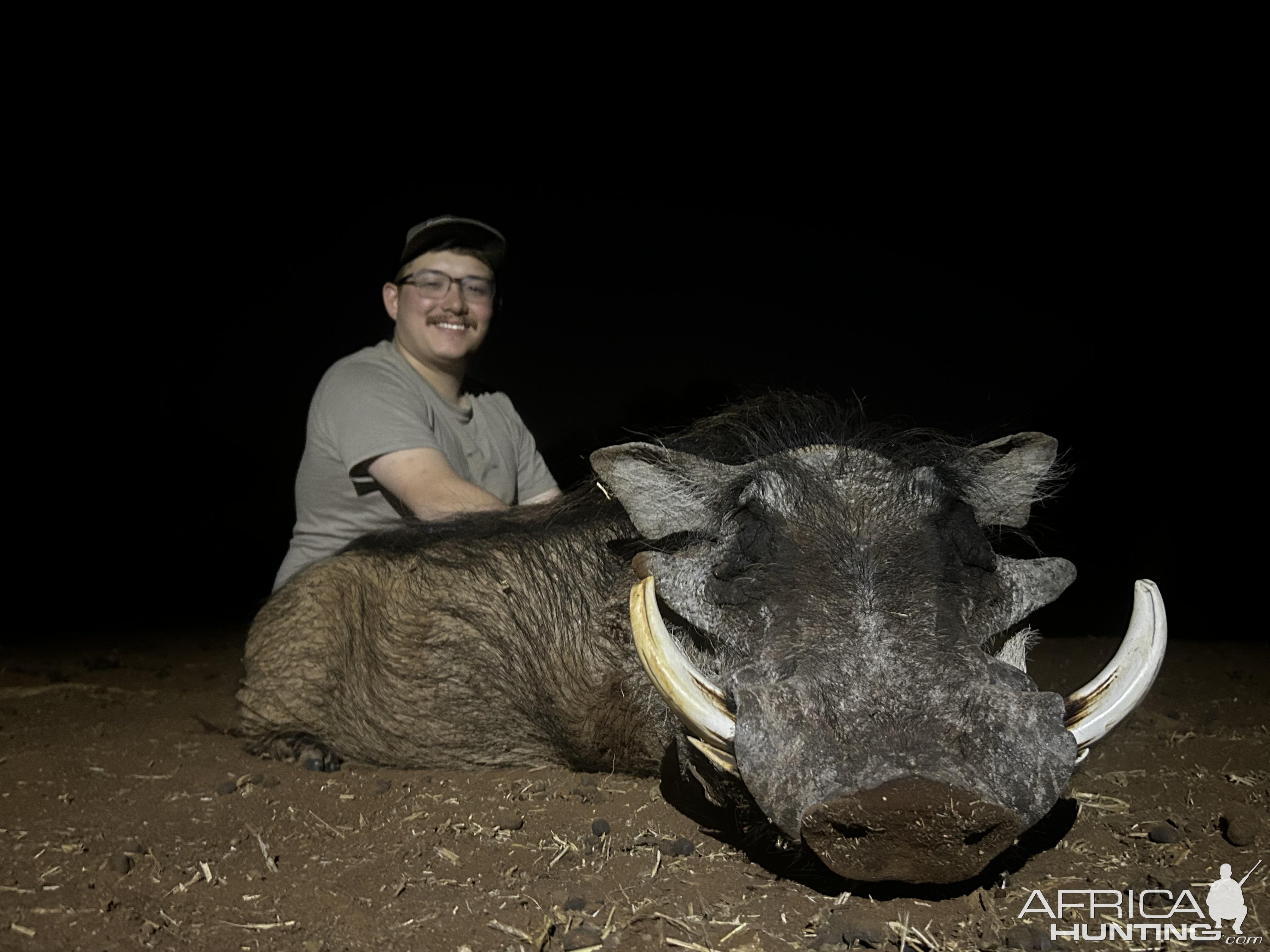 Warthog Hunting South Africa