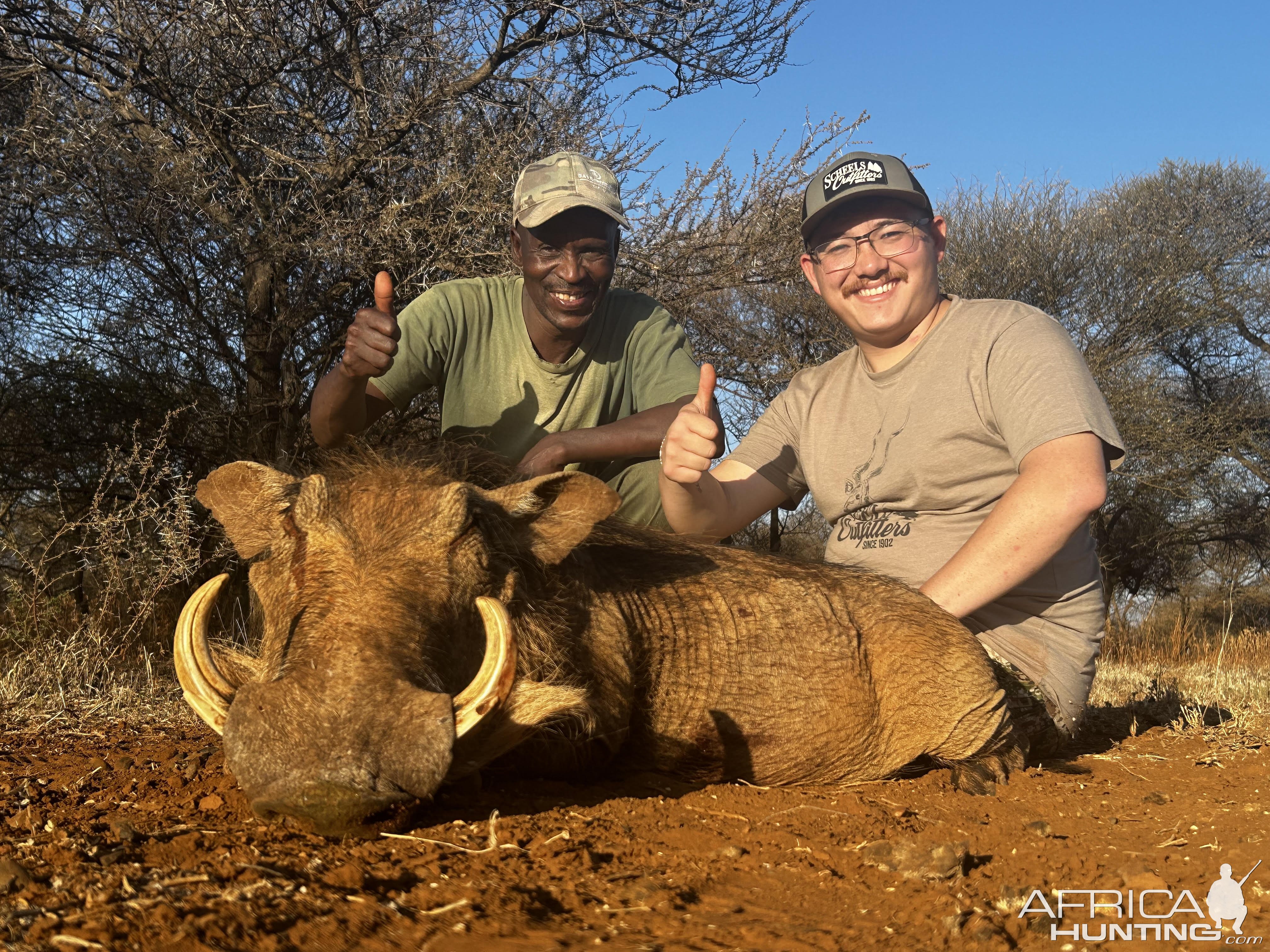 Warthog Hunting South Africa