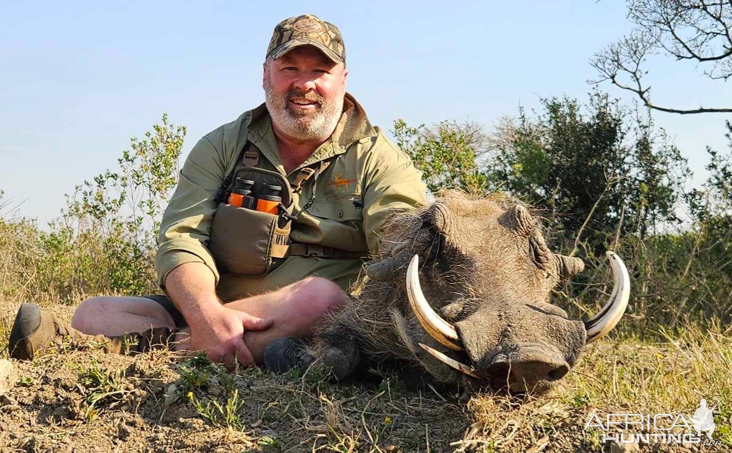 Warthog Hunting South Africa