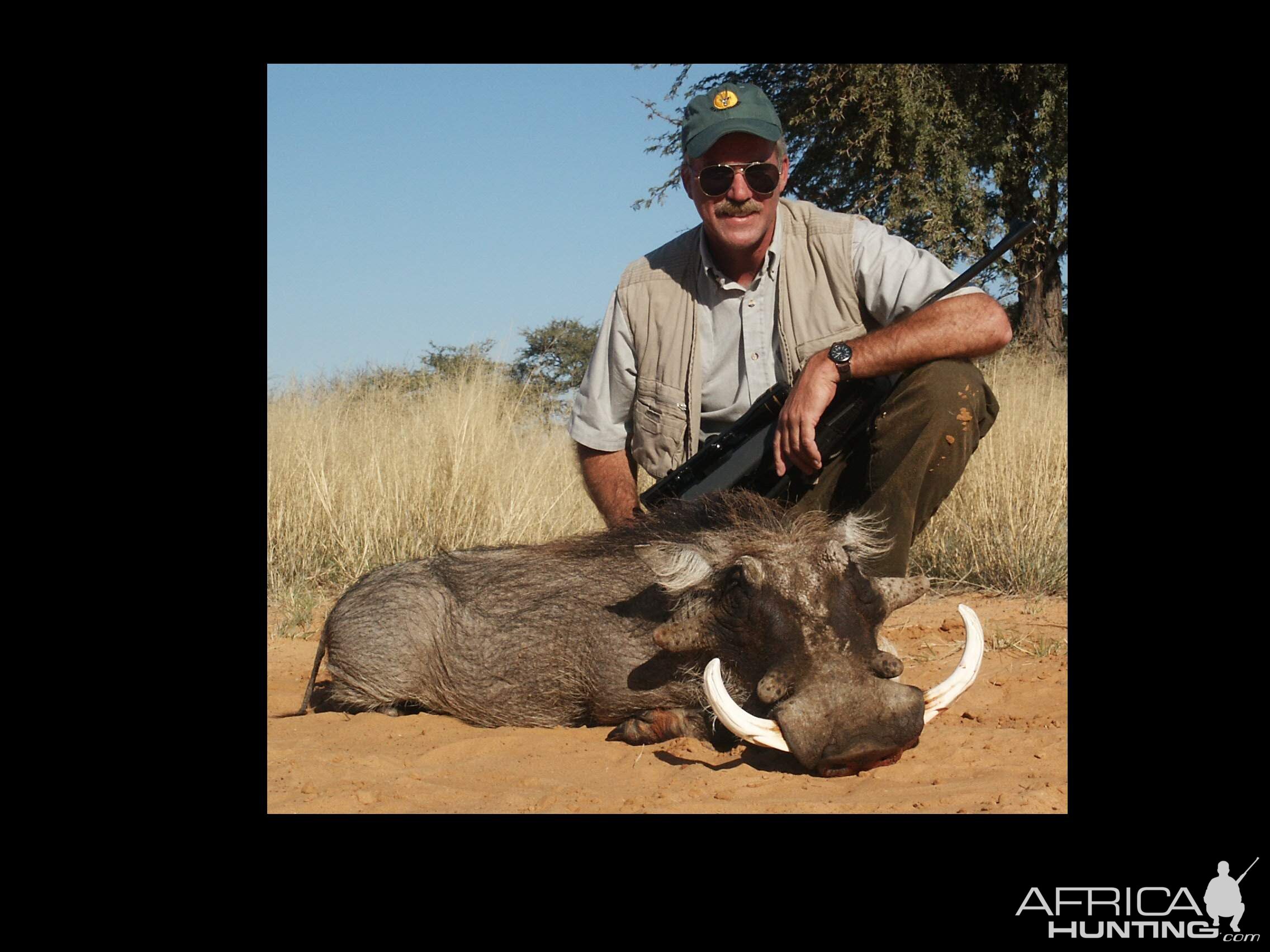 Warthog Hunting South Africa