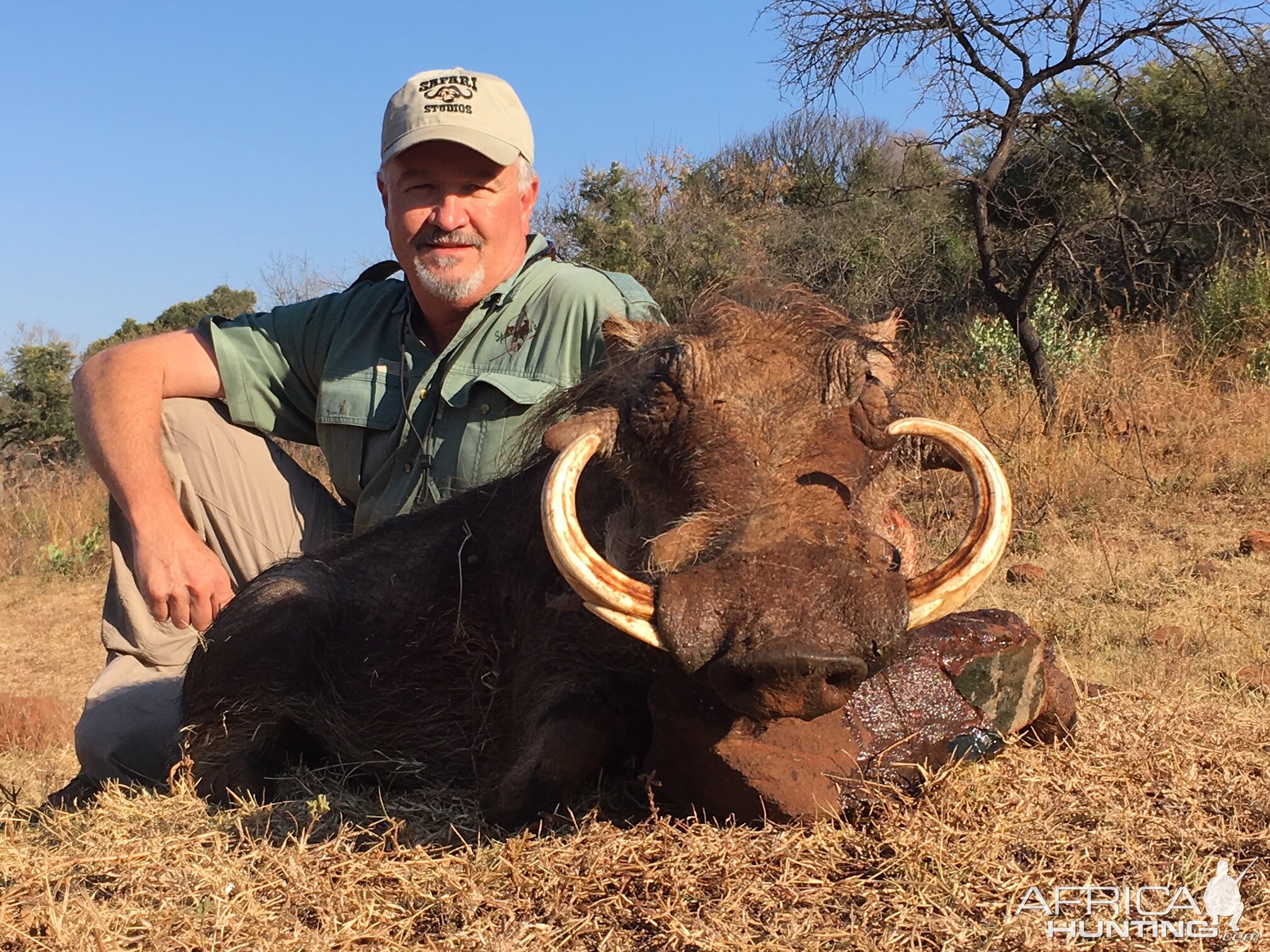 Warthog Hunting South Africa