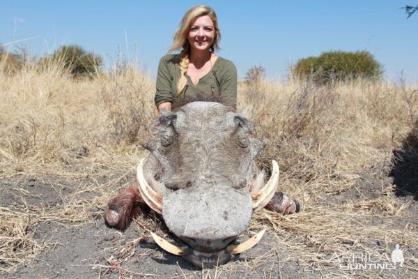 Warthog Hunting South Africa