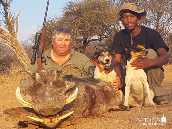 Warthog Hunting South Africa