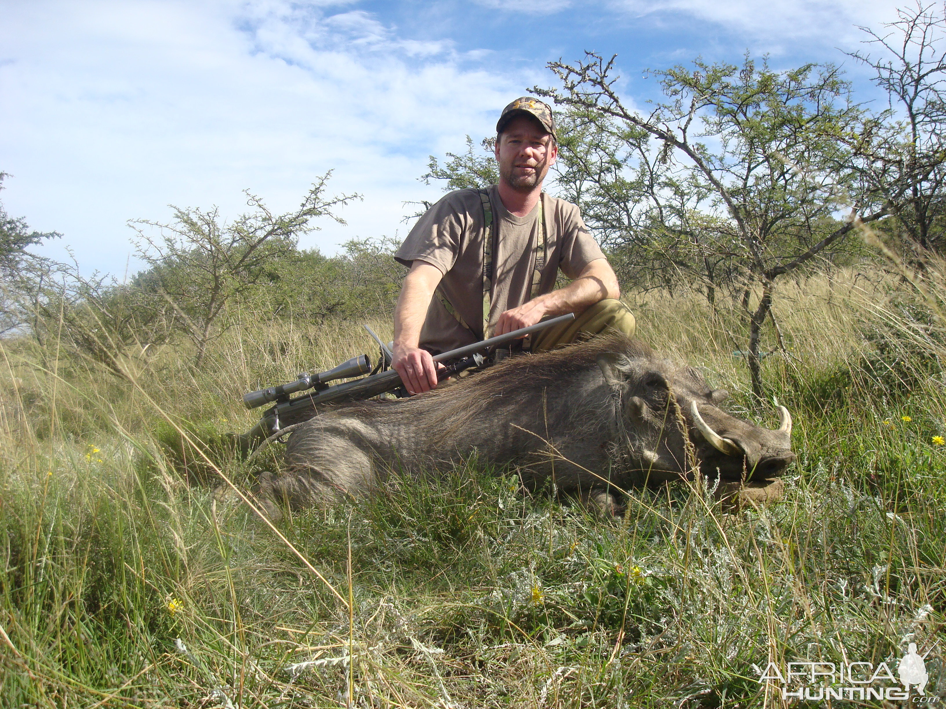 Warthog Hunting South Africa