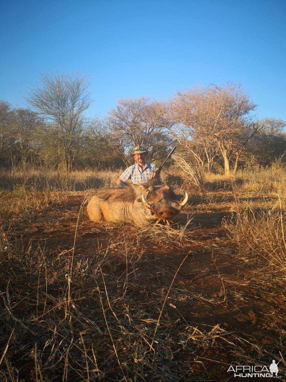 Warthog Hunting South Africa