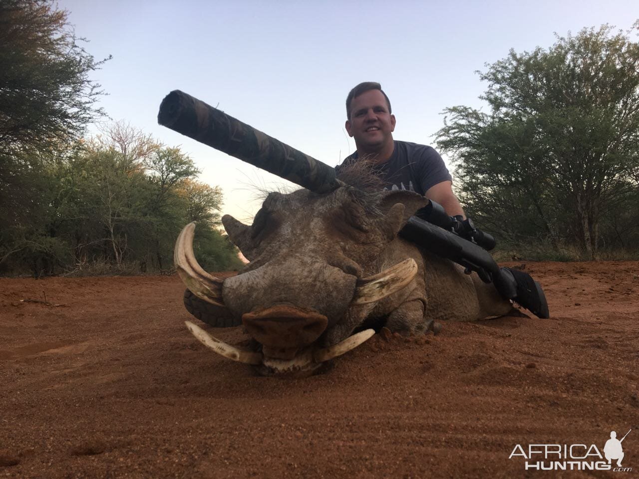 Warthog Hunting South Africa