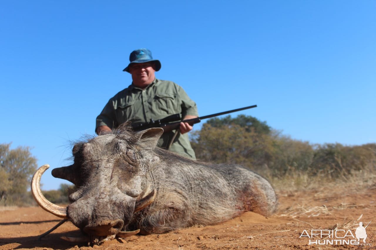 Warthog Hunting South Africa