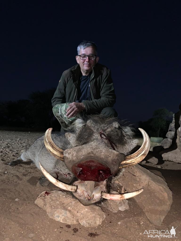 Warthog Hunting South Africa