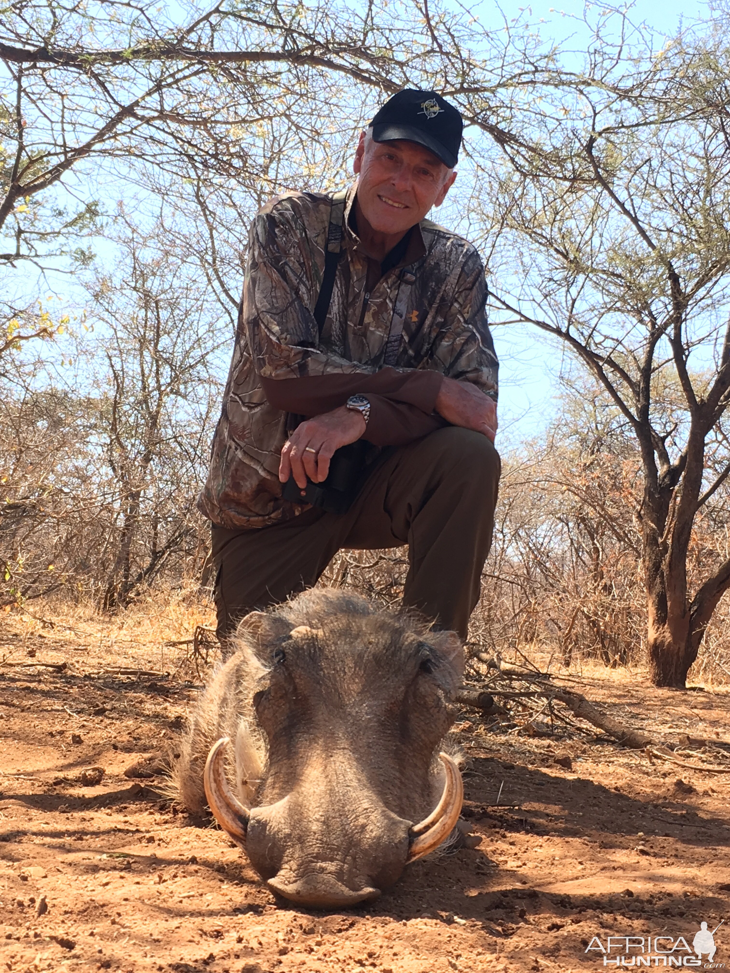 Warthog Hunting South Africa