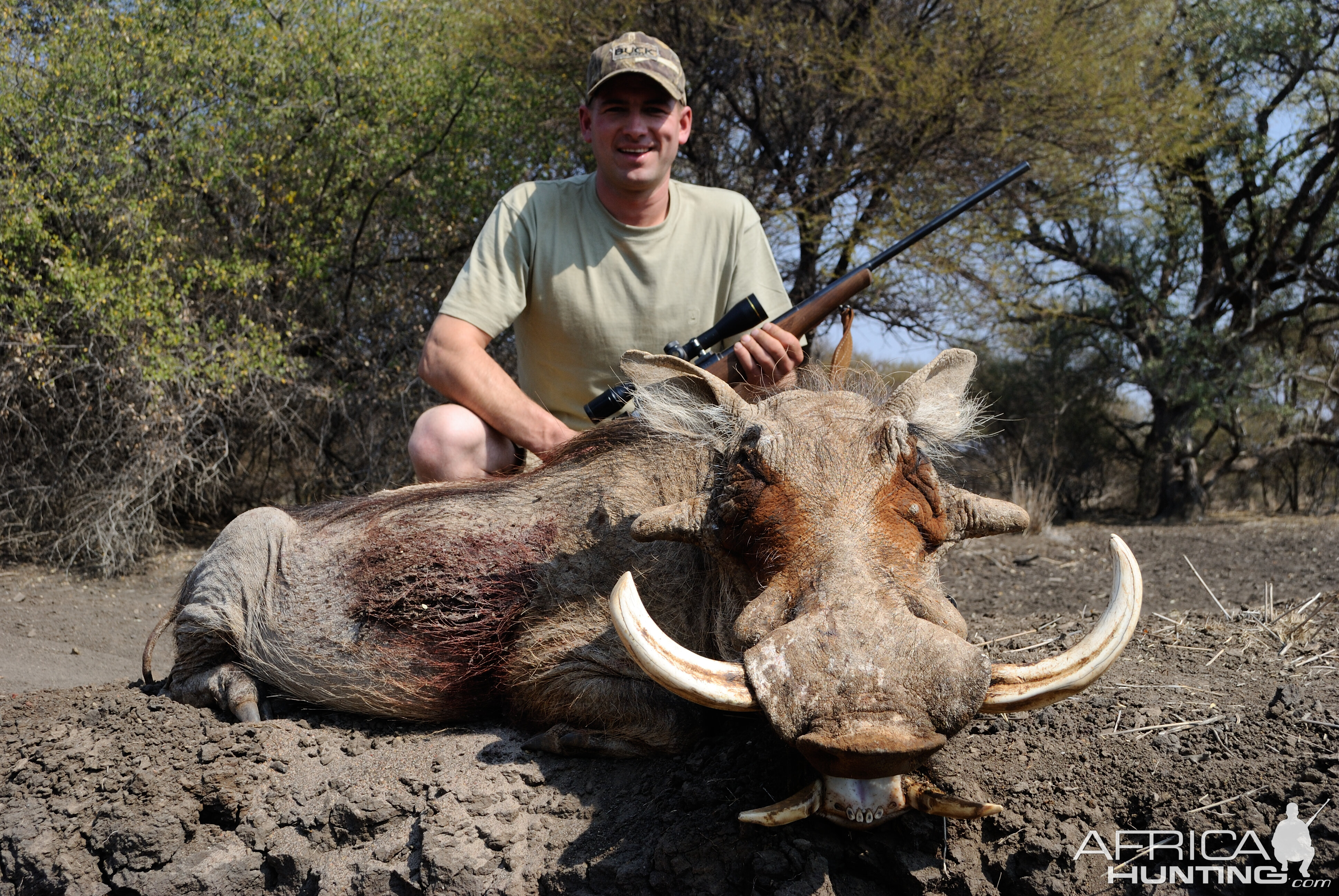 Warthog Hunting South Africa