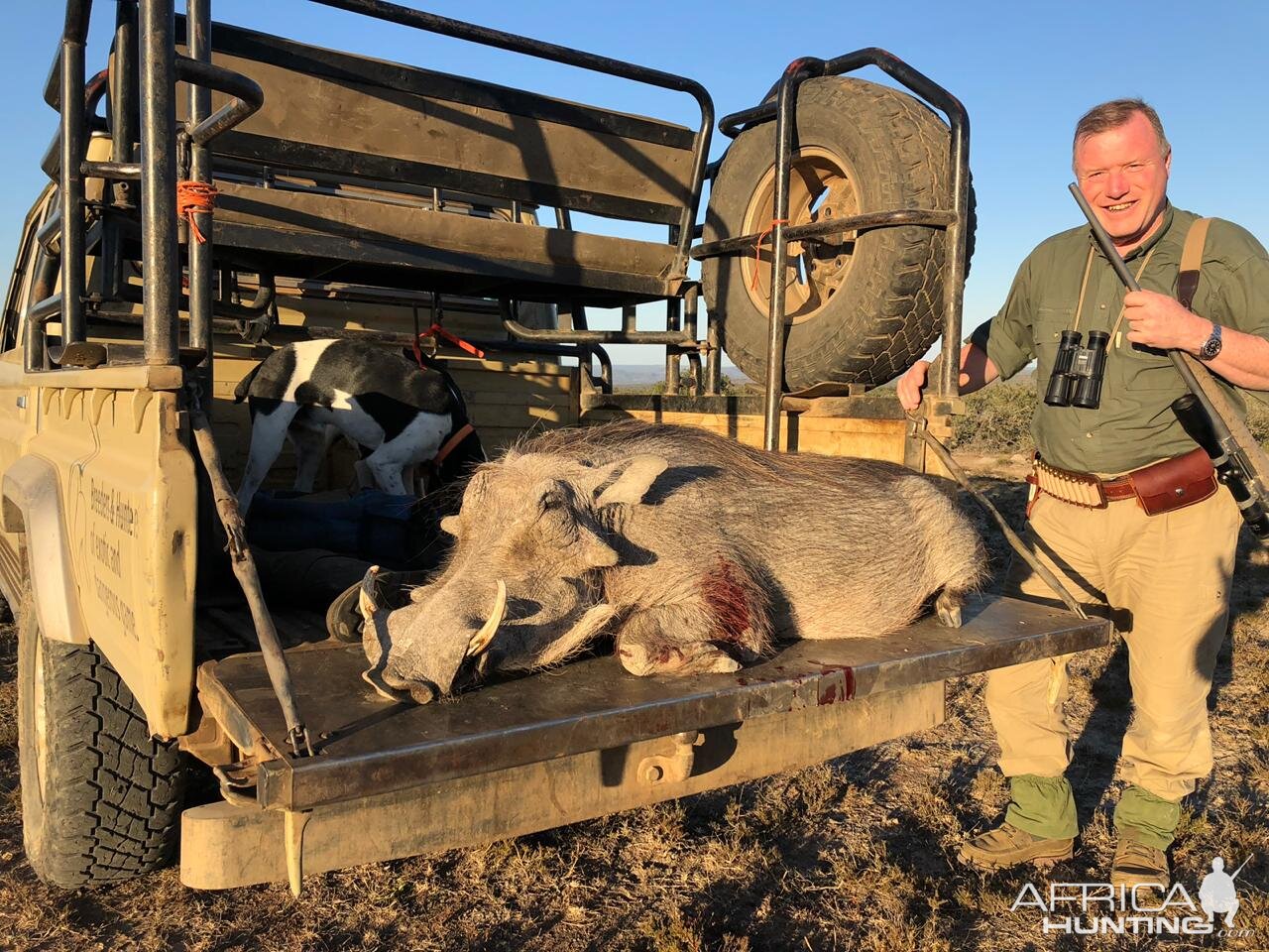 Warthog Hunting South Africa