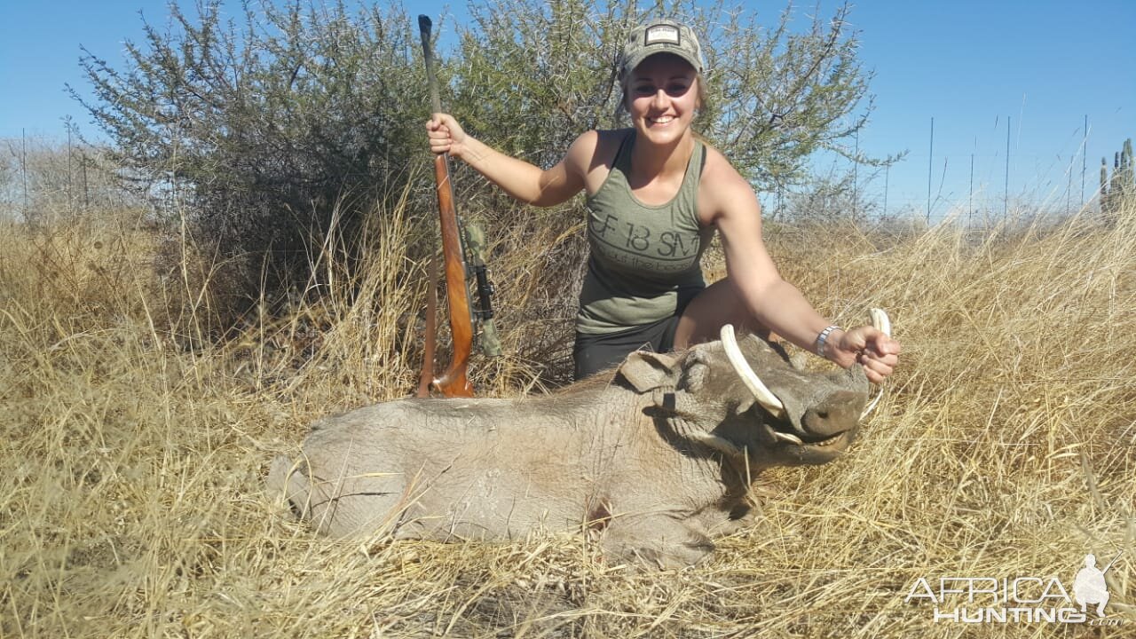 Warthog Hunting South Africa