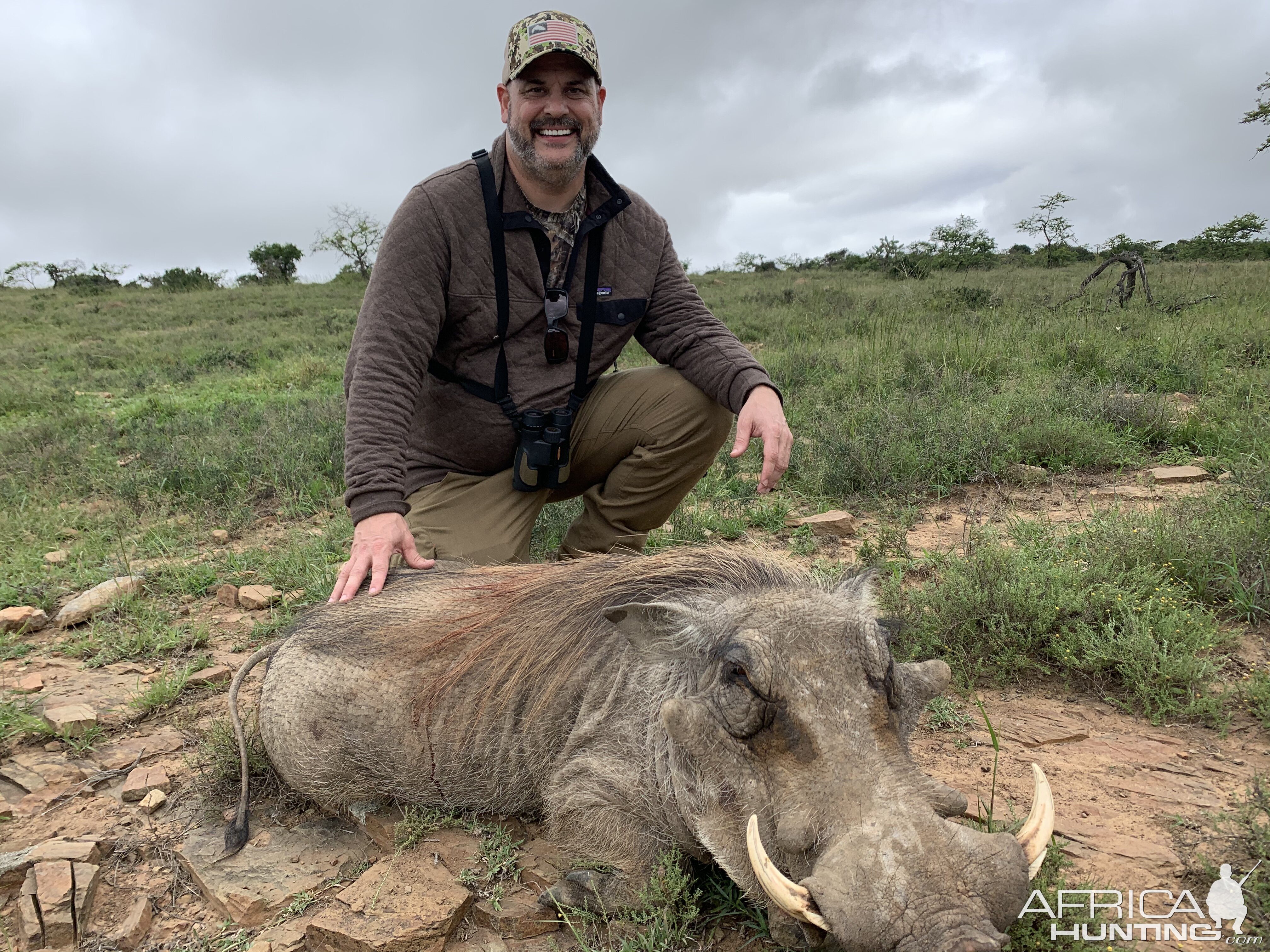 Warthog Hunting South Africa