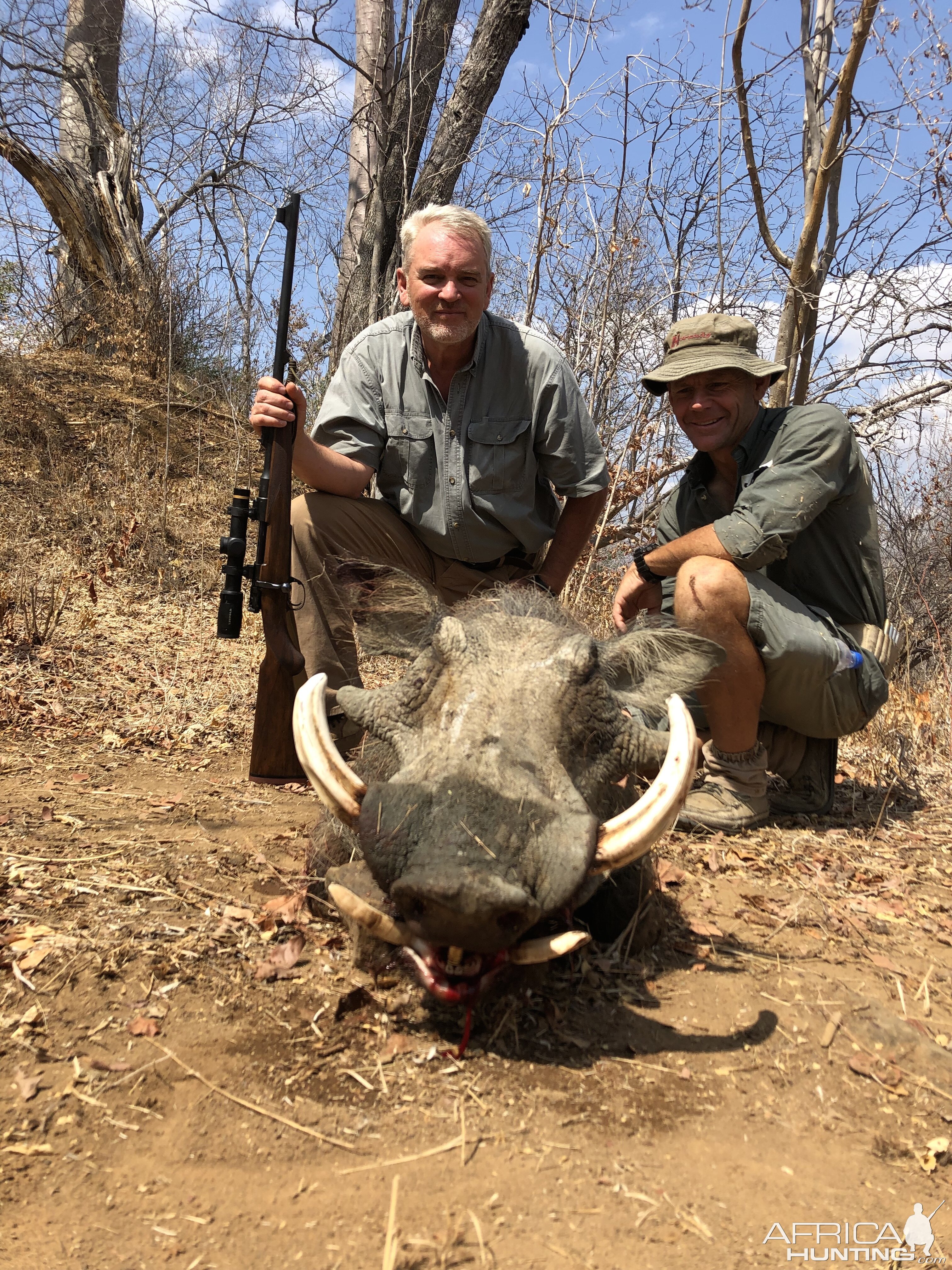 Warthog Hunting Zimbabwe