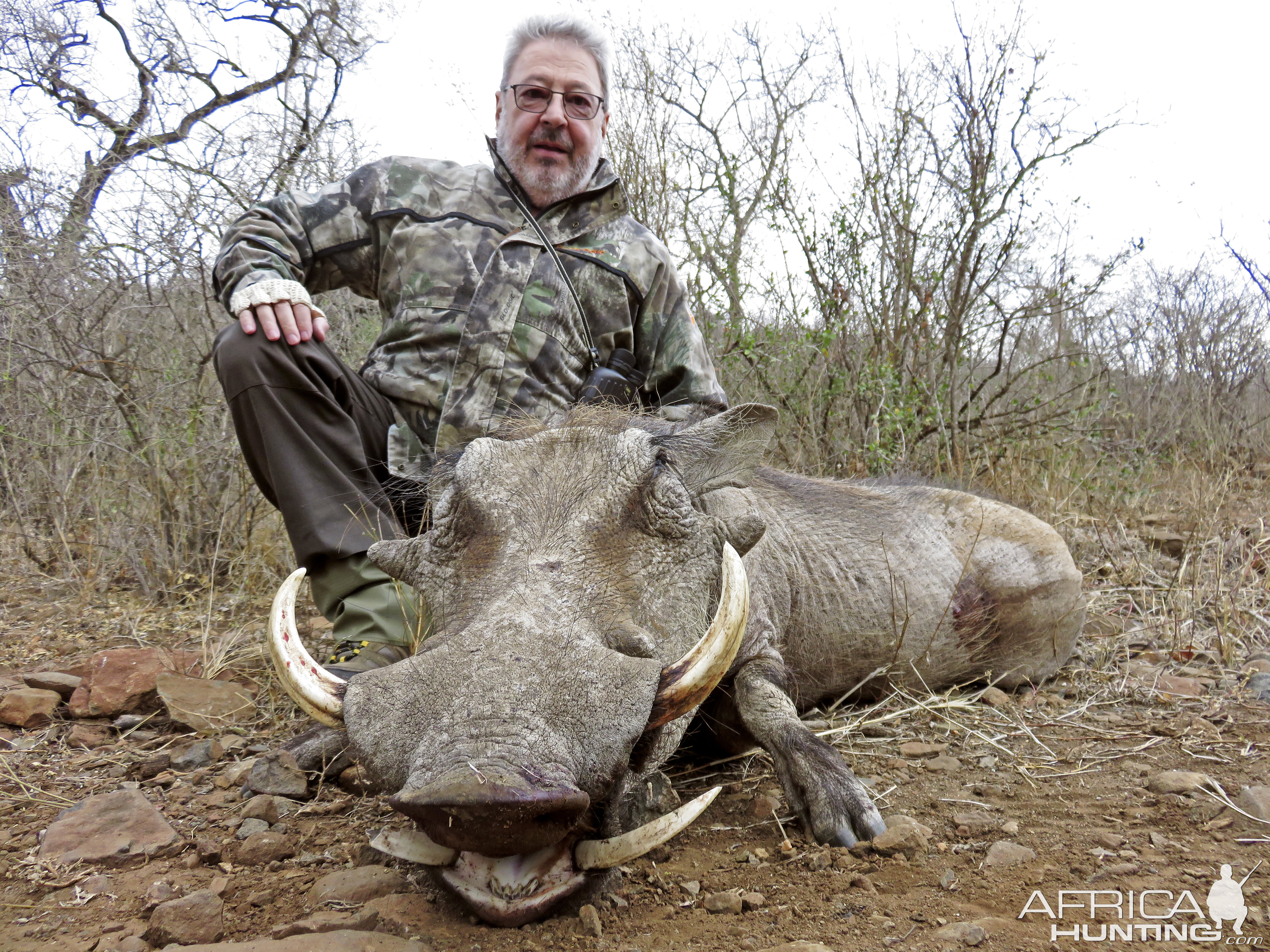 Warthog Hunting