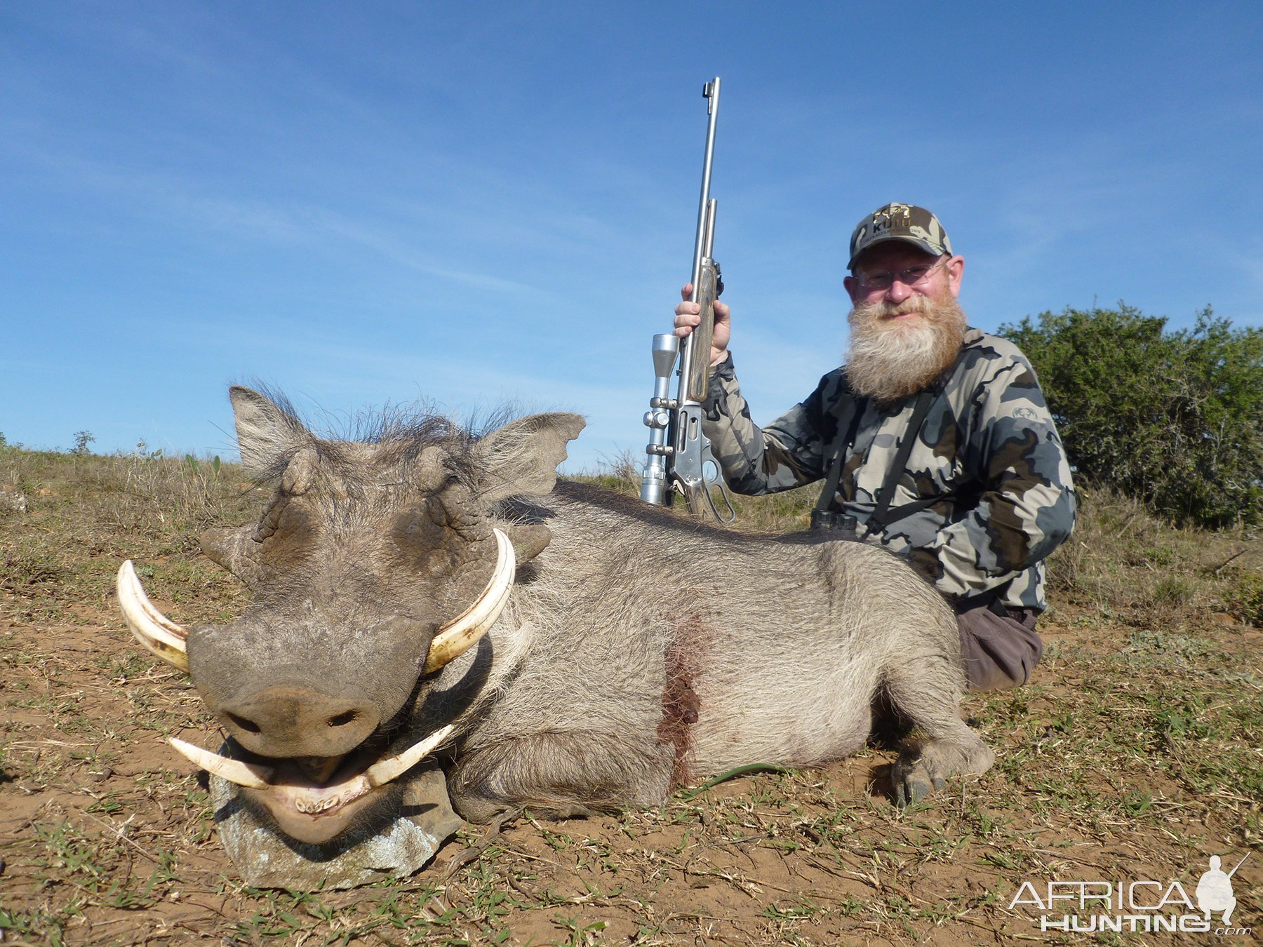 Warthog Hunting