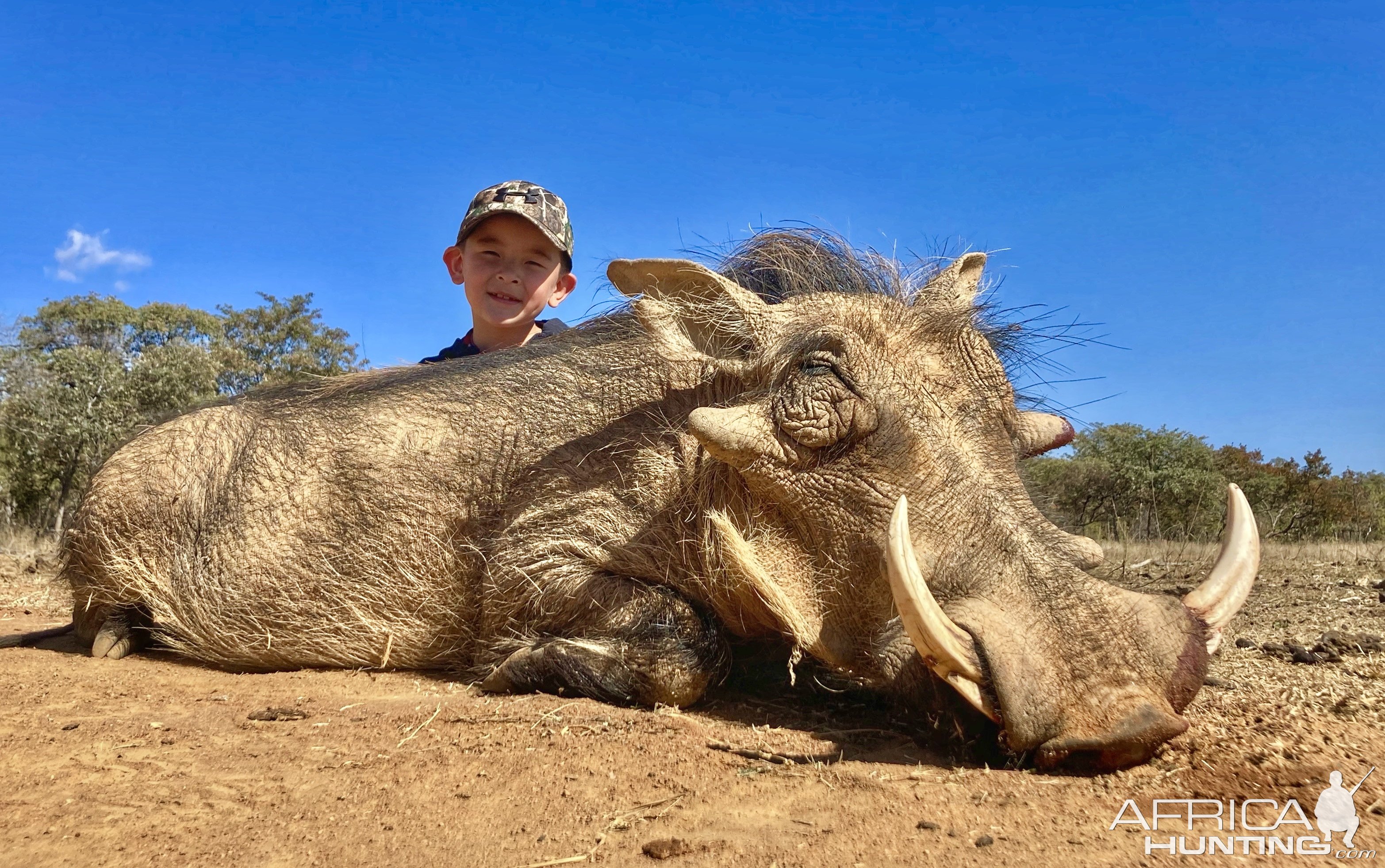 Warthog Hunting