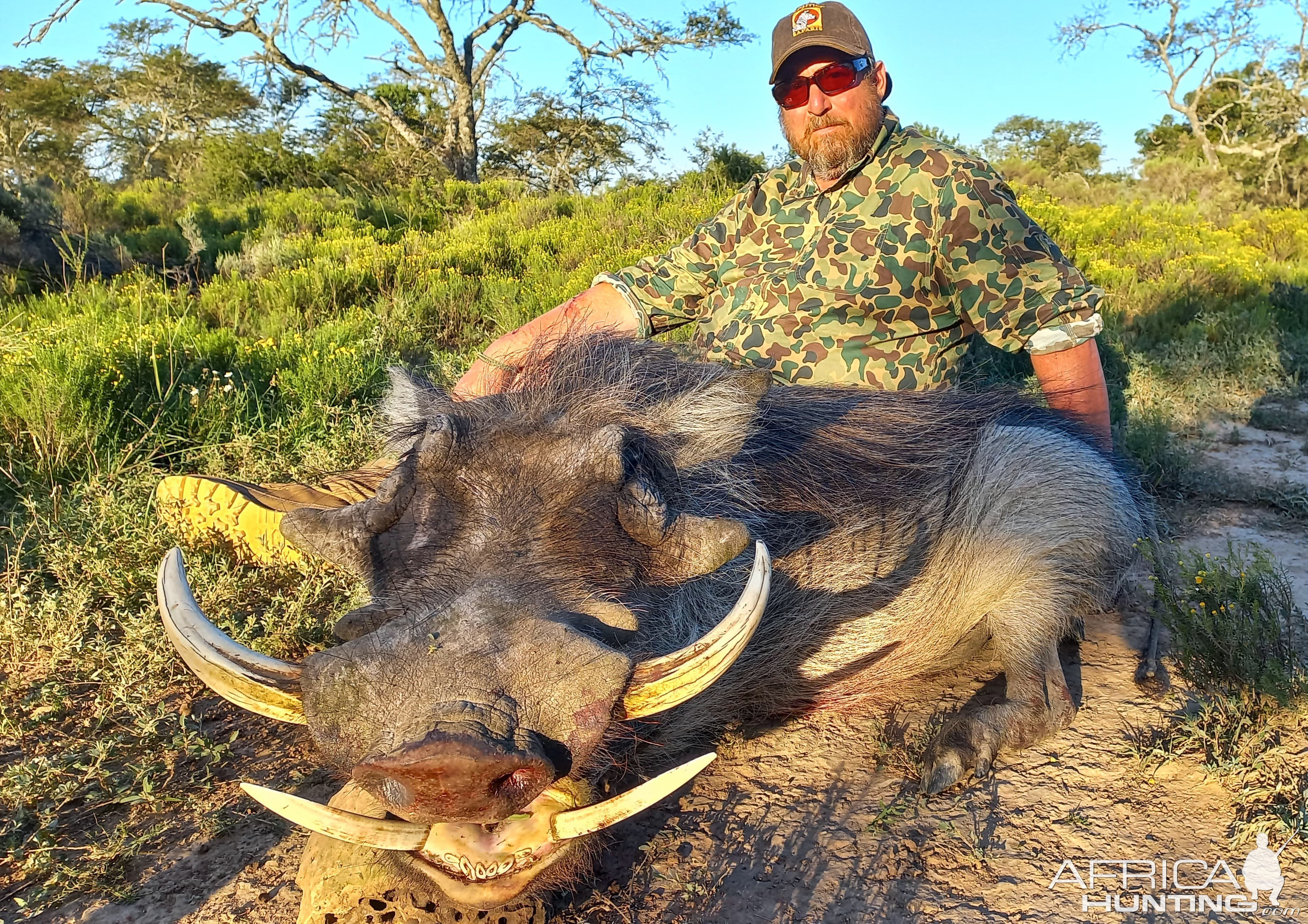 Warthog Hunting