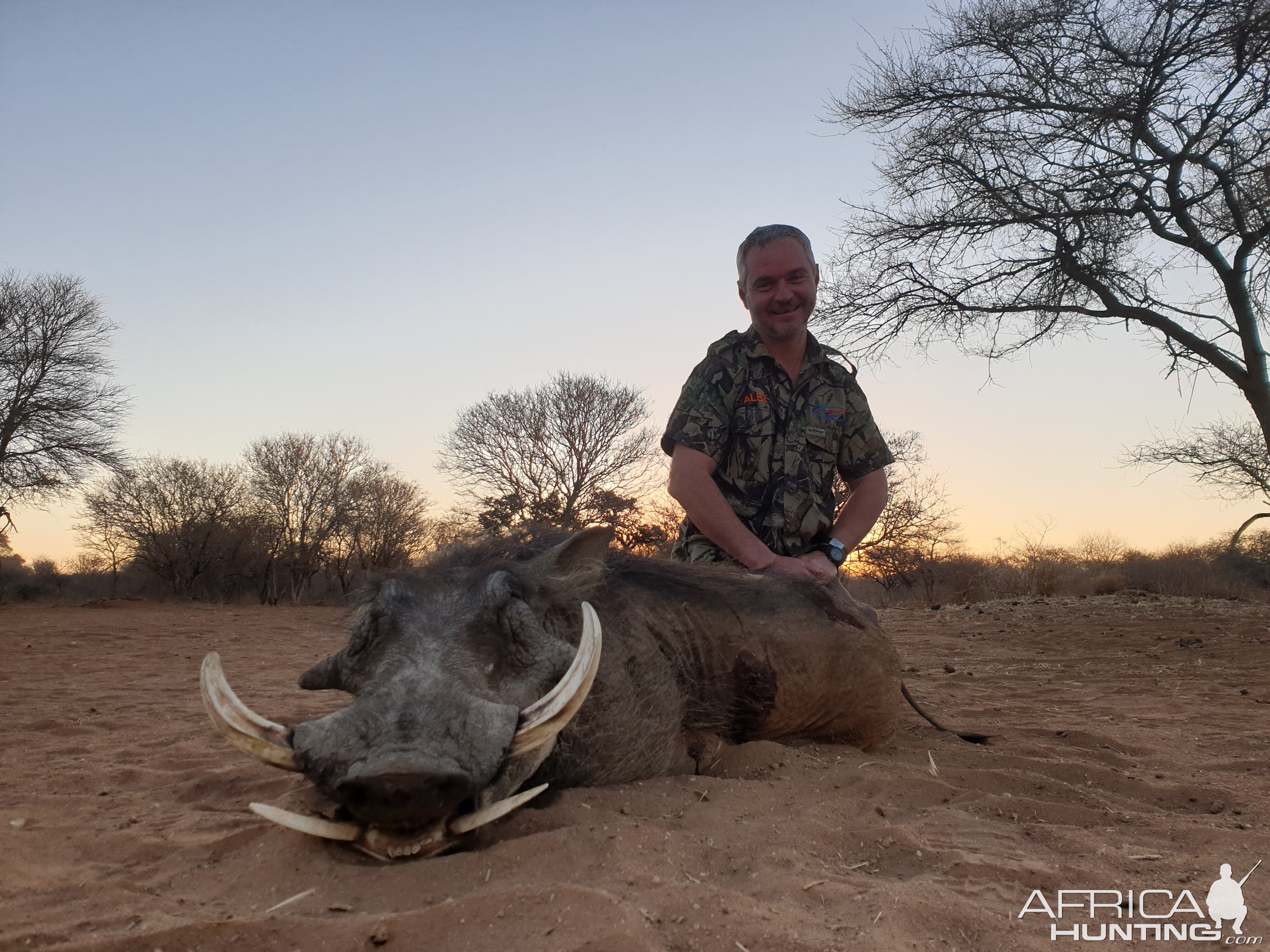 Warthog Hunting