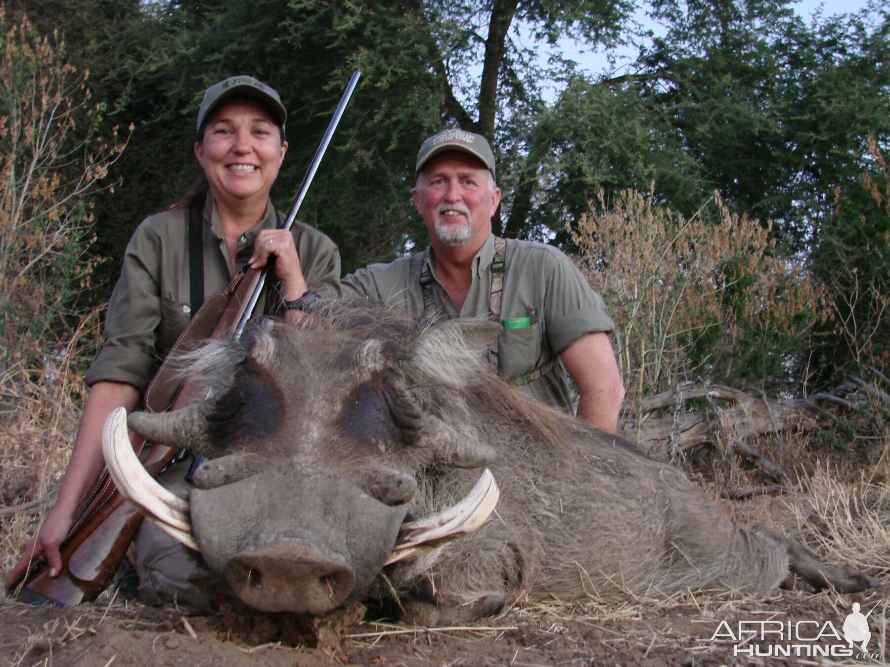 Warthog Imbezie Camp, Lowveld of Zimbabwe