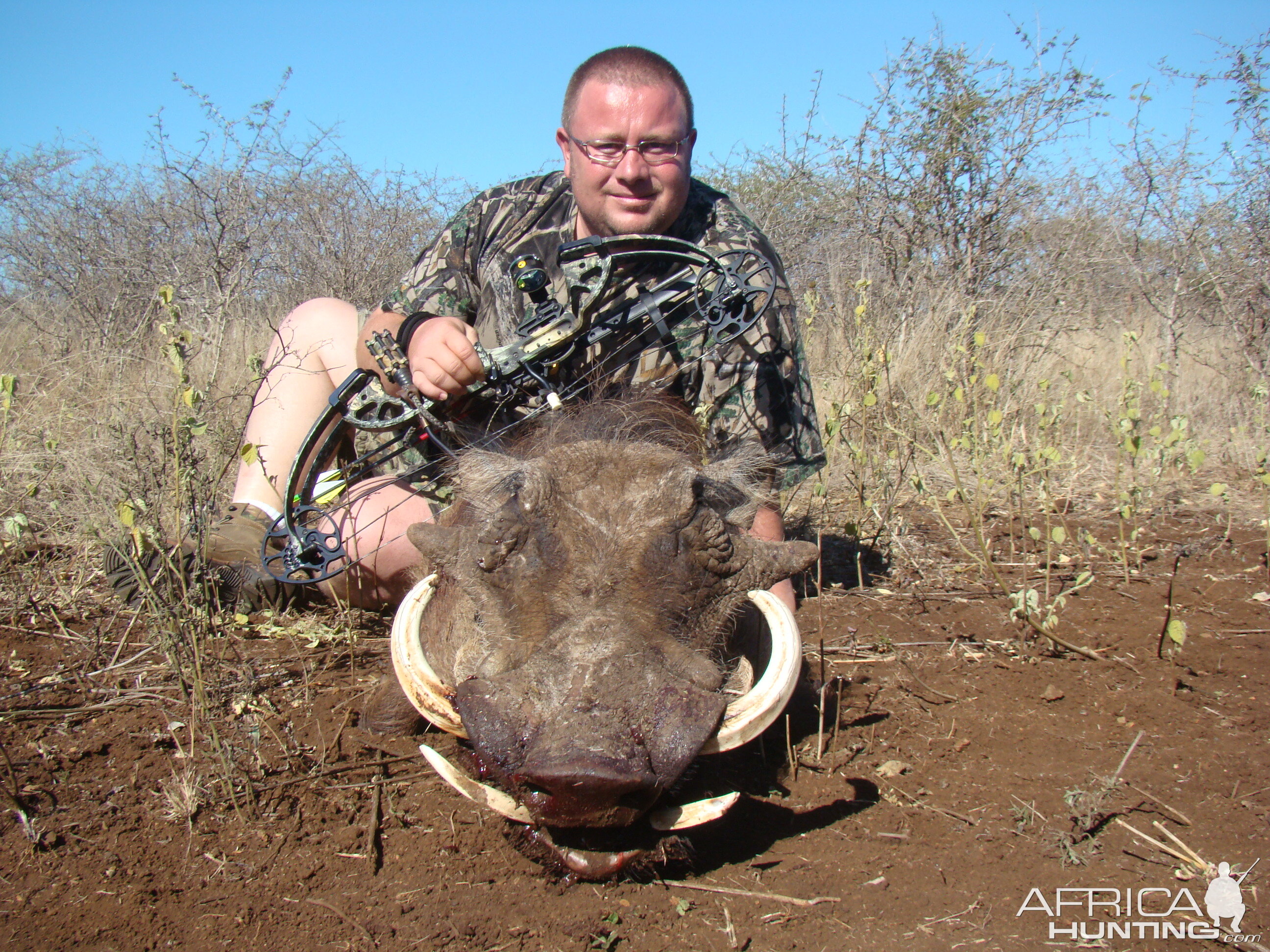 Warthog Leeukop Safaris