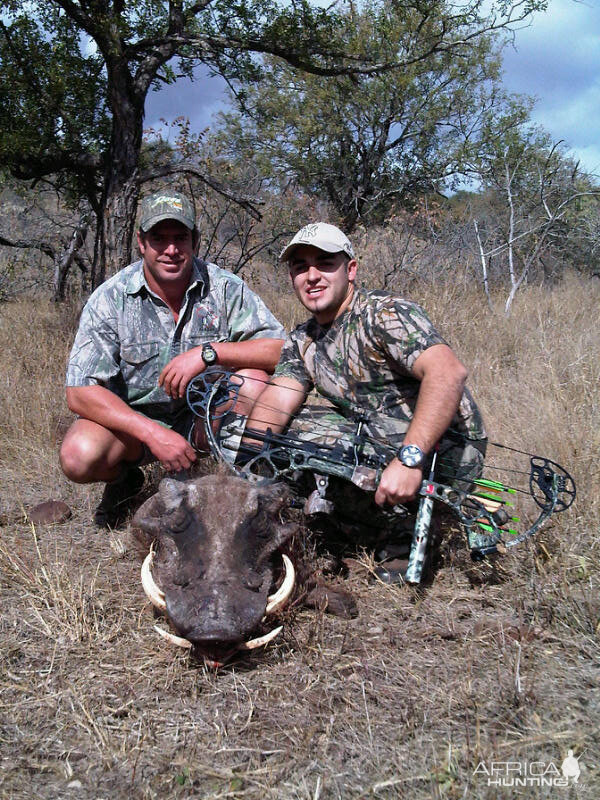 Warthog Leeukop Safaris