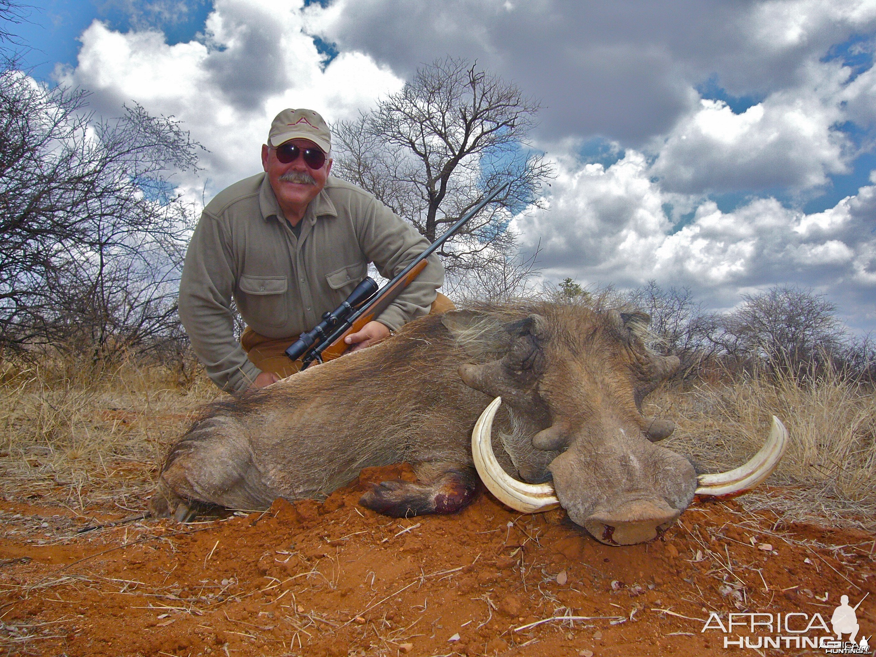 Warthog ~ Limpopo Valley, RSA