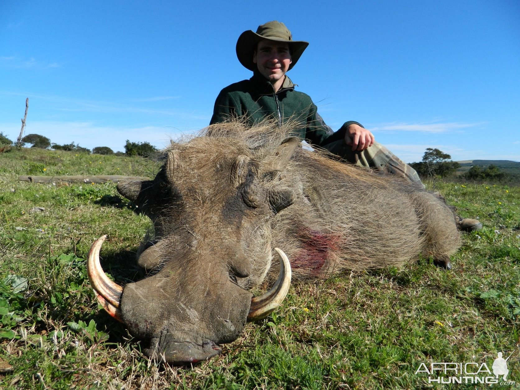 Warthog Many Battle Scars