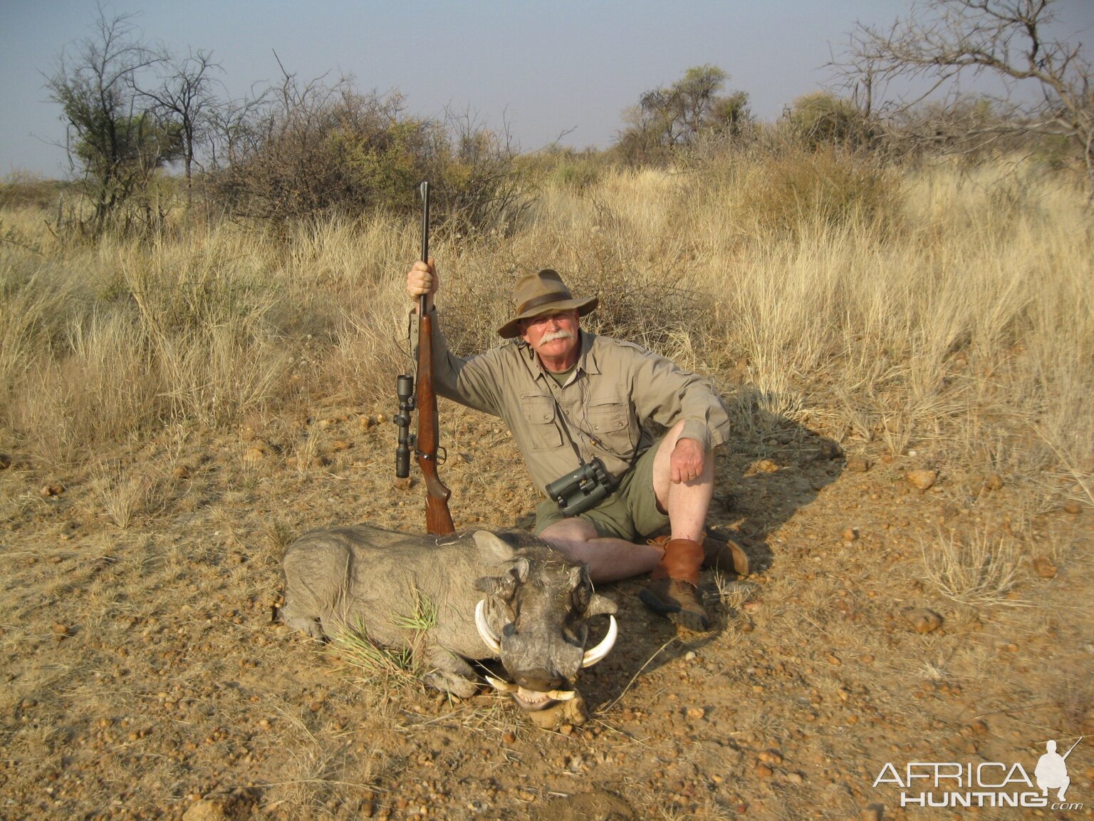 Warthog Namibia Hunt