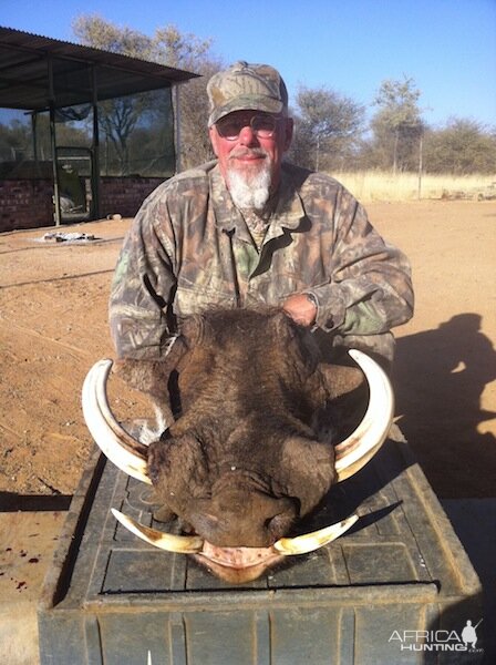 Warthog Namibia Hunting