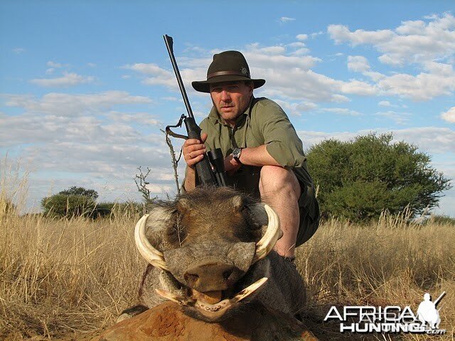 Warthog Namibia