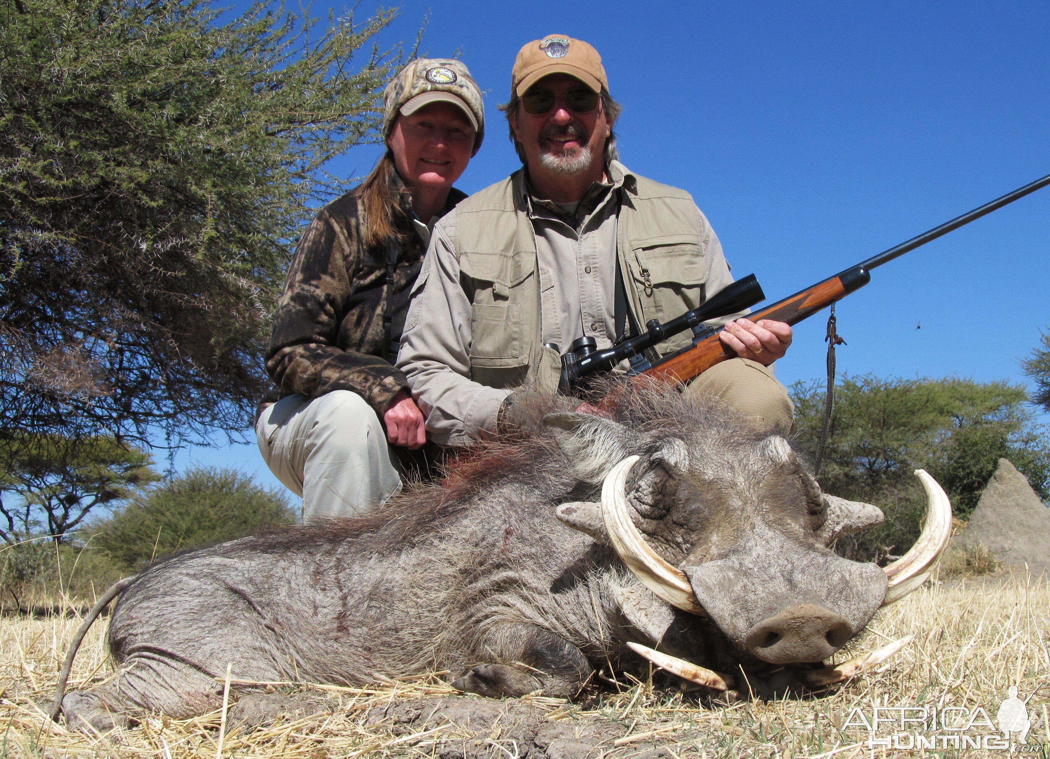 Warthog Namibia