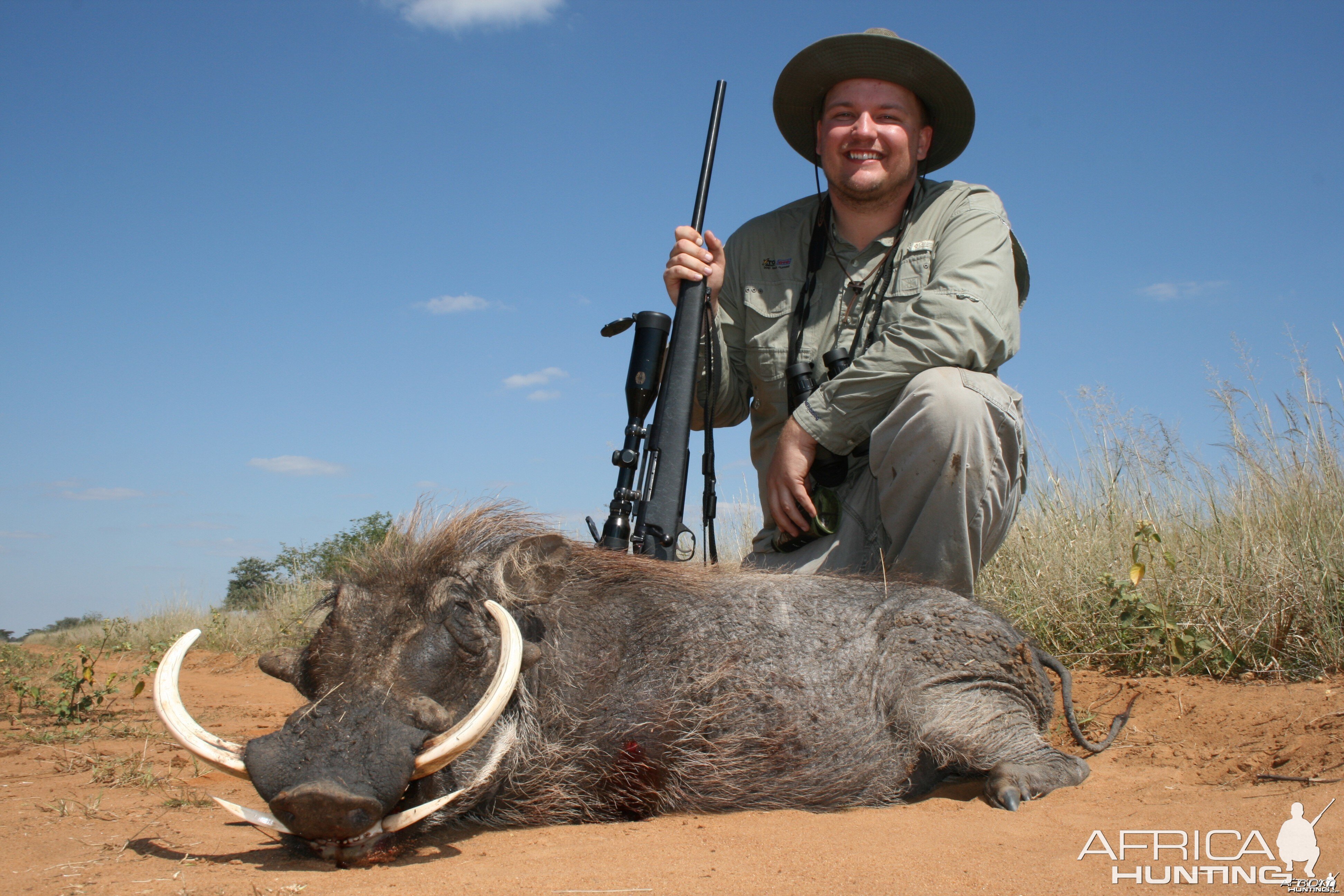 Warthog, Northern Namibia