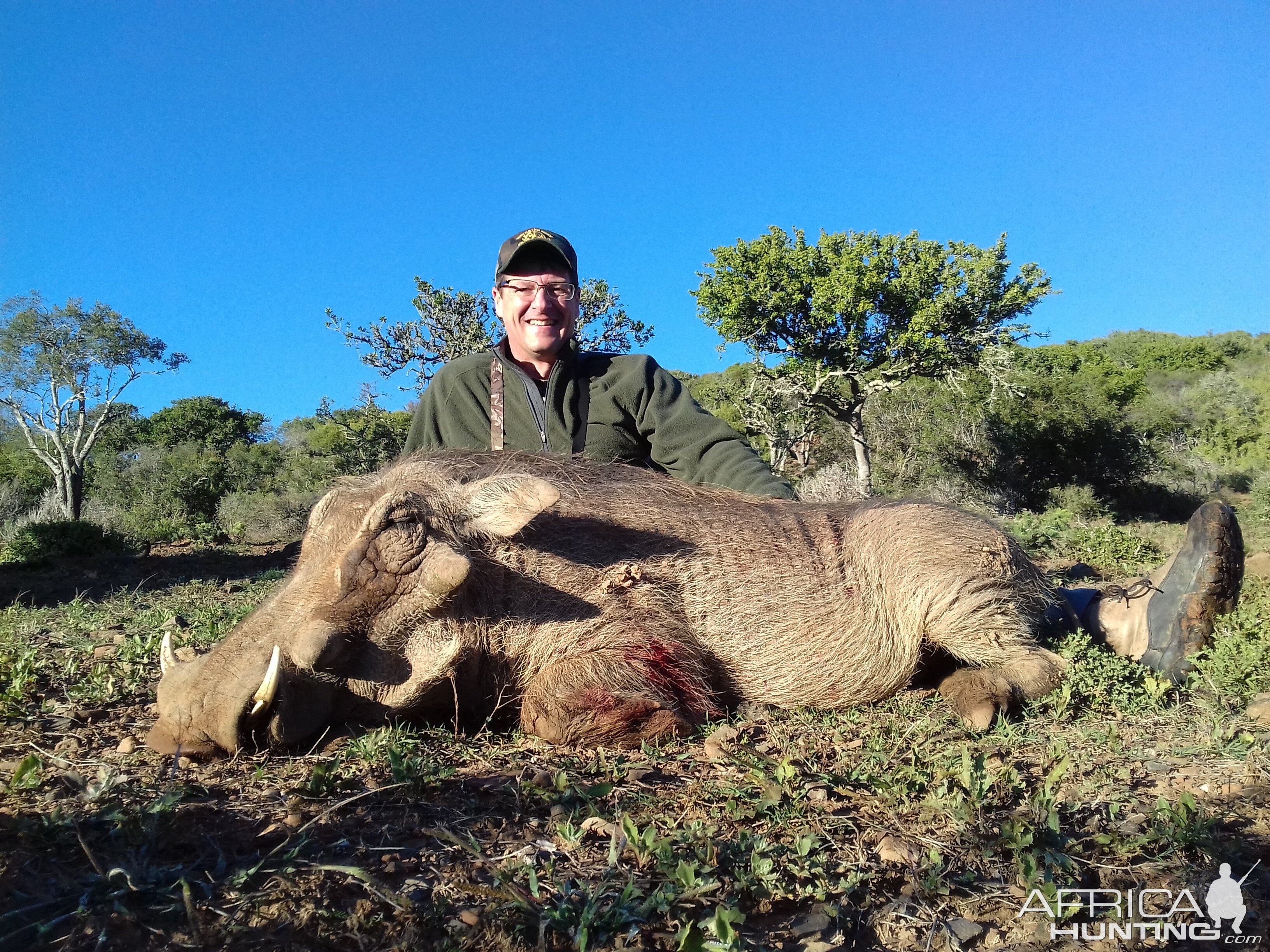 Warthog South Africa Cull Hunt