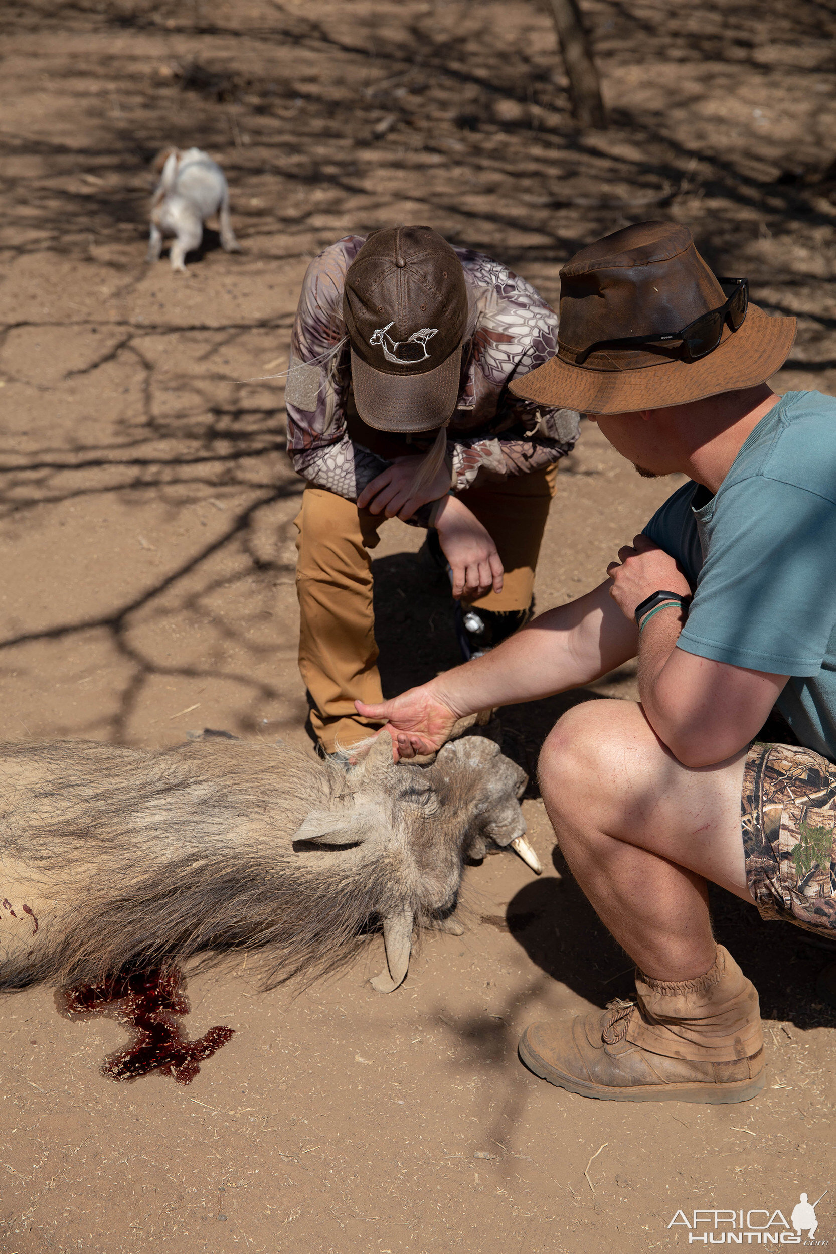 Warthog South Africa