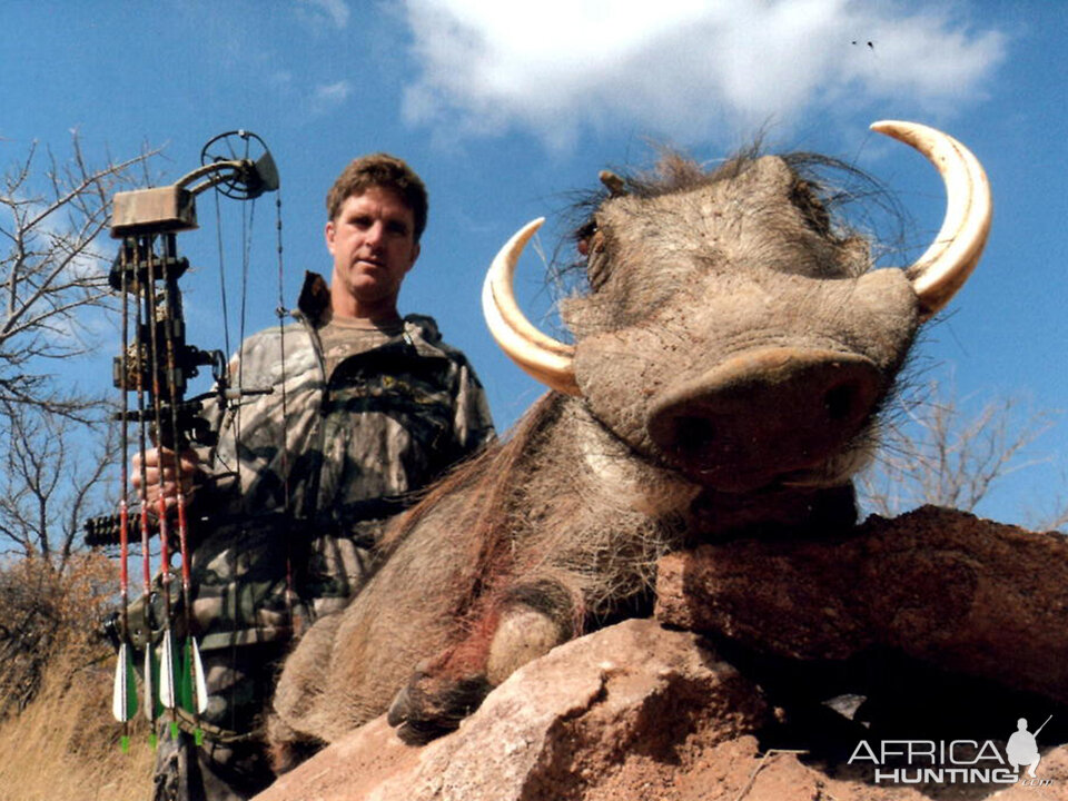 Warthog South Africa