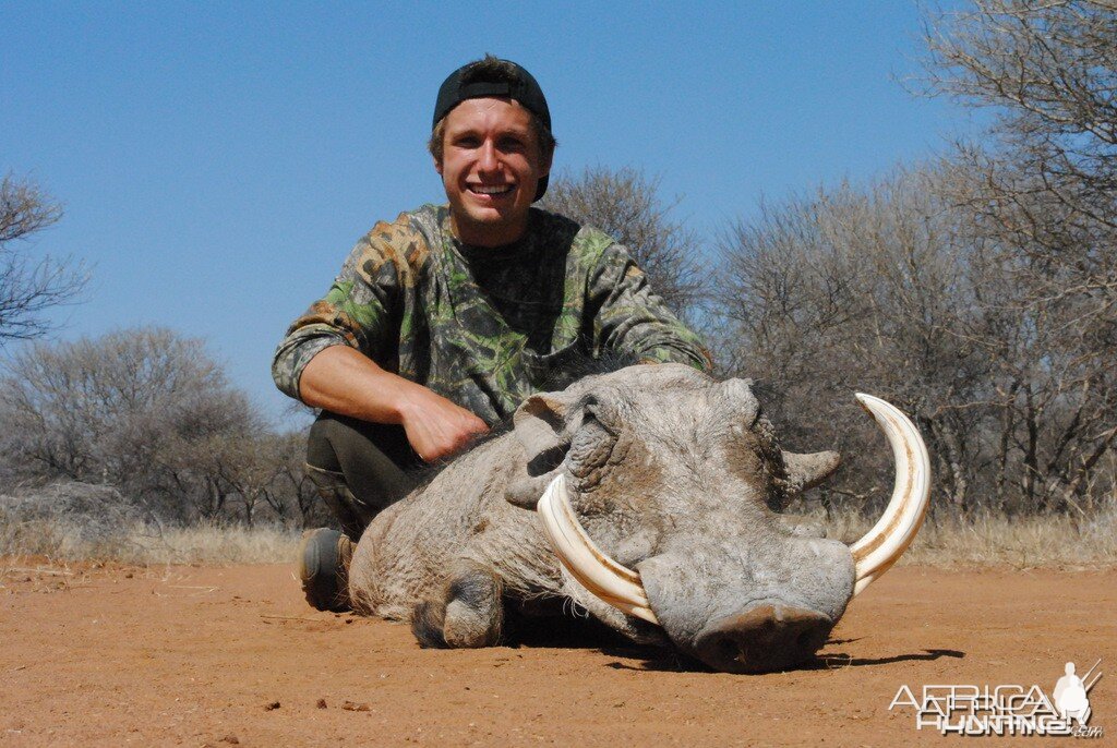 Warthog - Spiral Horn Safaris