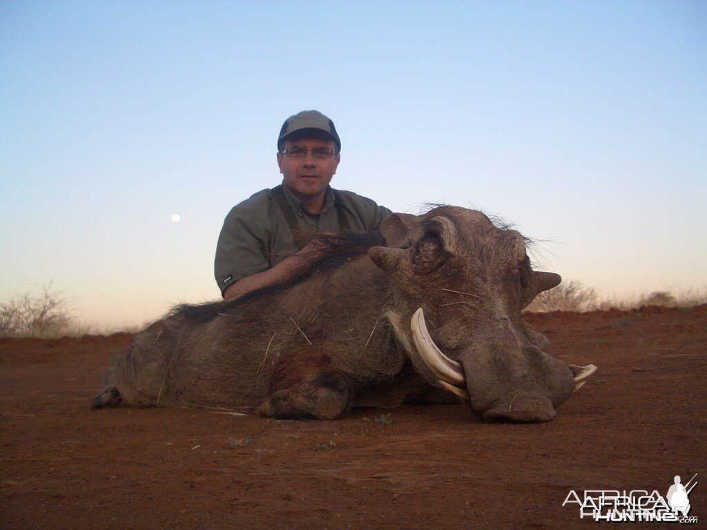 Warthog- Spiral Horn Safaris